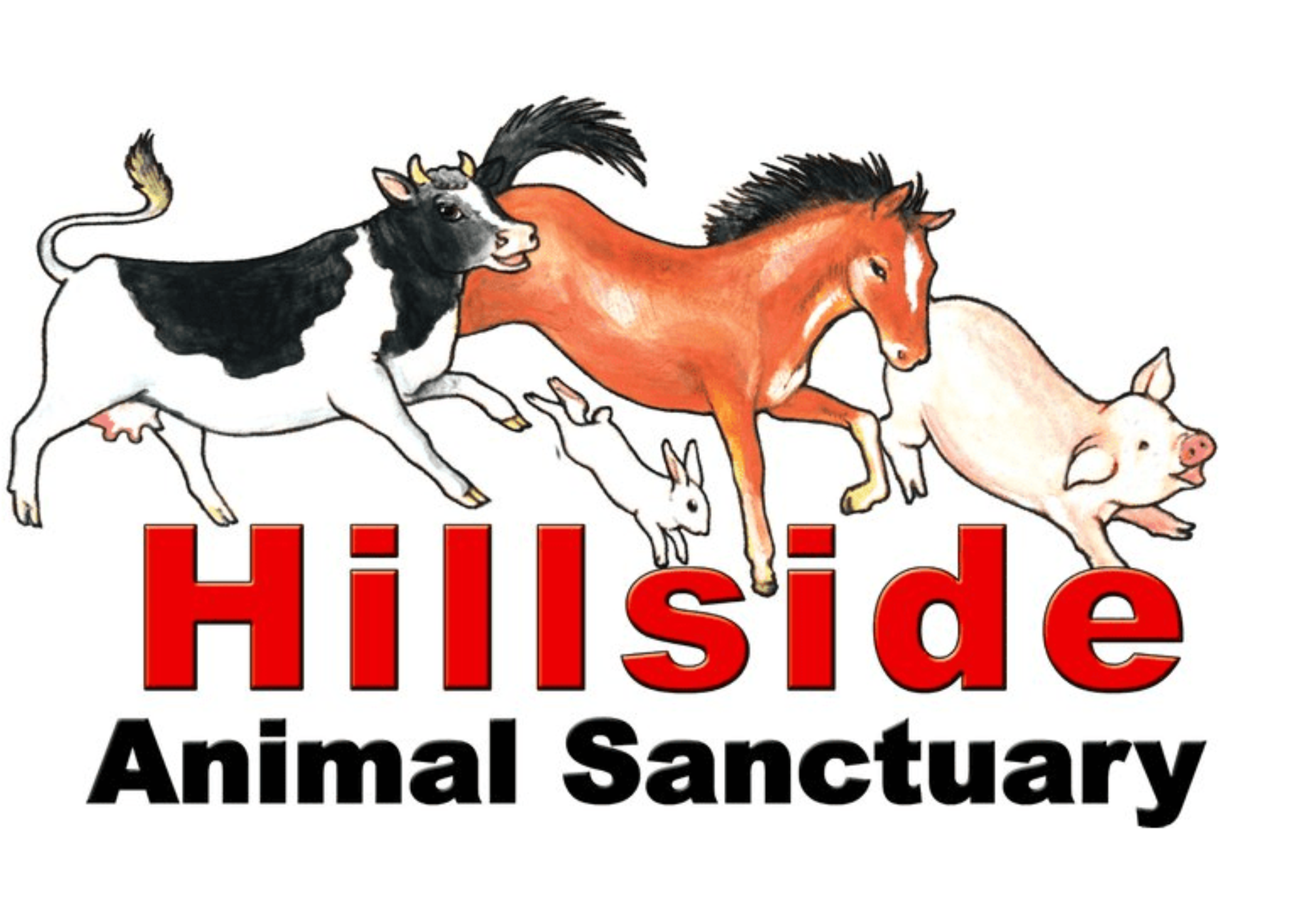 Illustration of a cow, a horse, a pig, and two rabbits above the words 'Hillside Animal Sanctuary'.