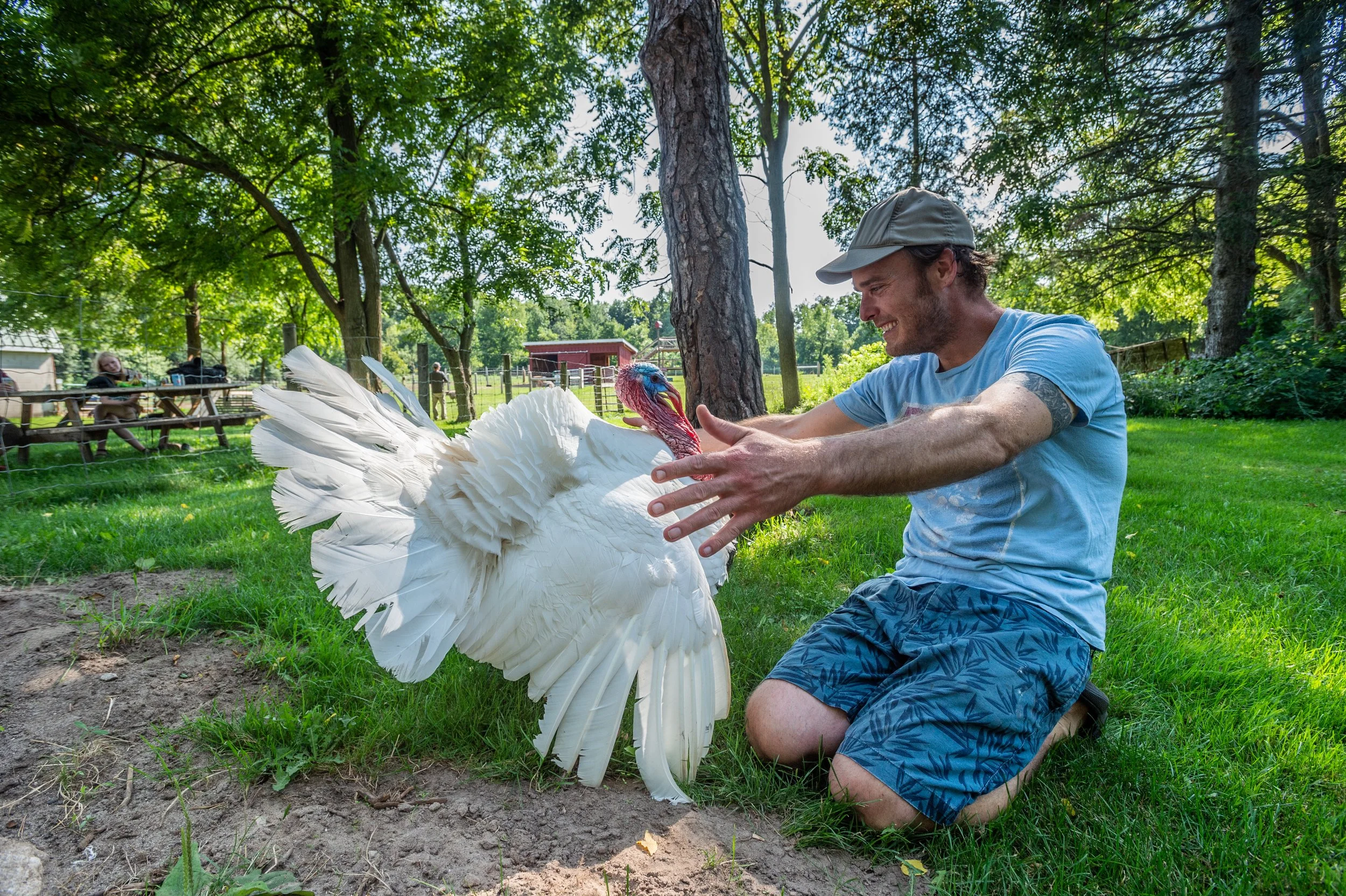 A man kneels on the grass outdoors, smiling and holding a large white turkey with colorful head and neck, under a canopy of trees in a park or farm setting.