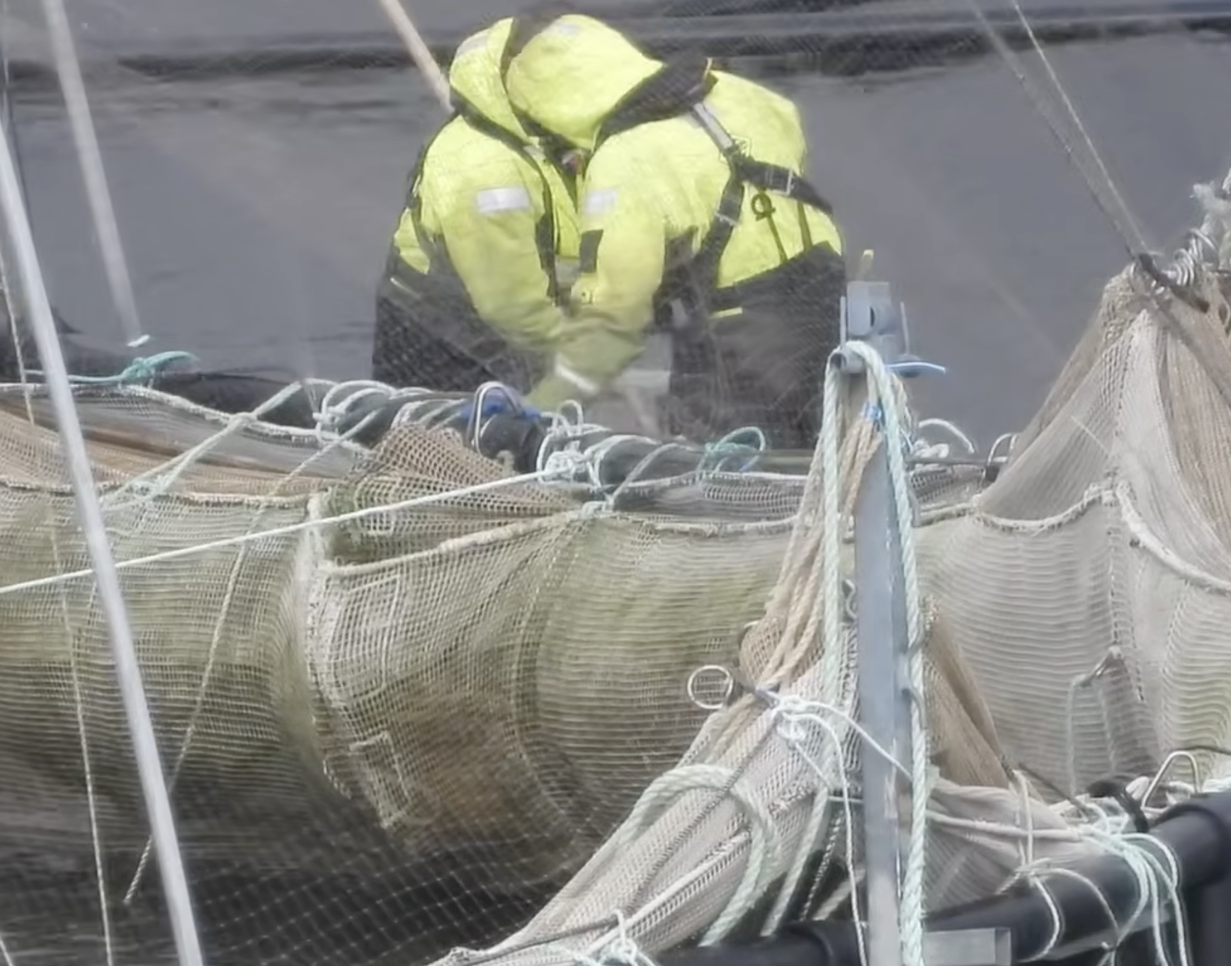 A person in a yellow high-visibility jacket working with fishing nets on a fish farm.