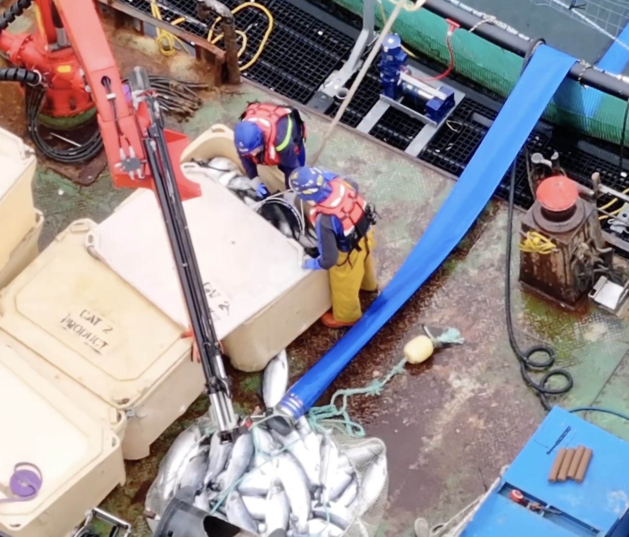 Workers with safety gear working on fish farming machinery outdoors, surrounded by equipment, cables, and containers.