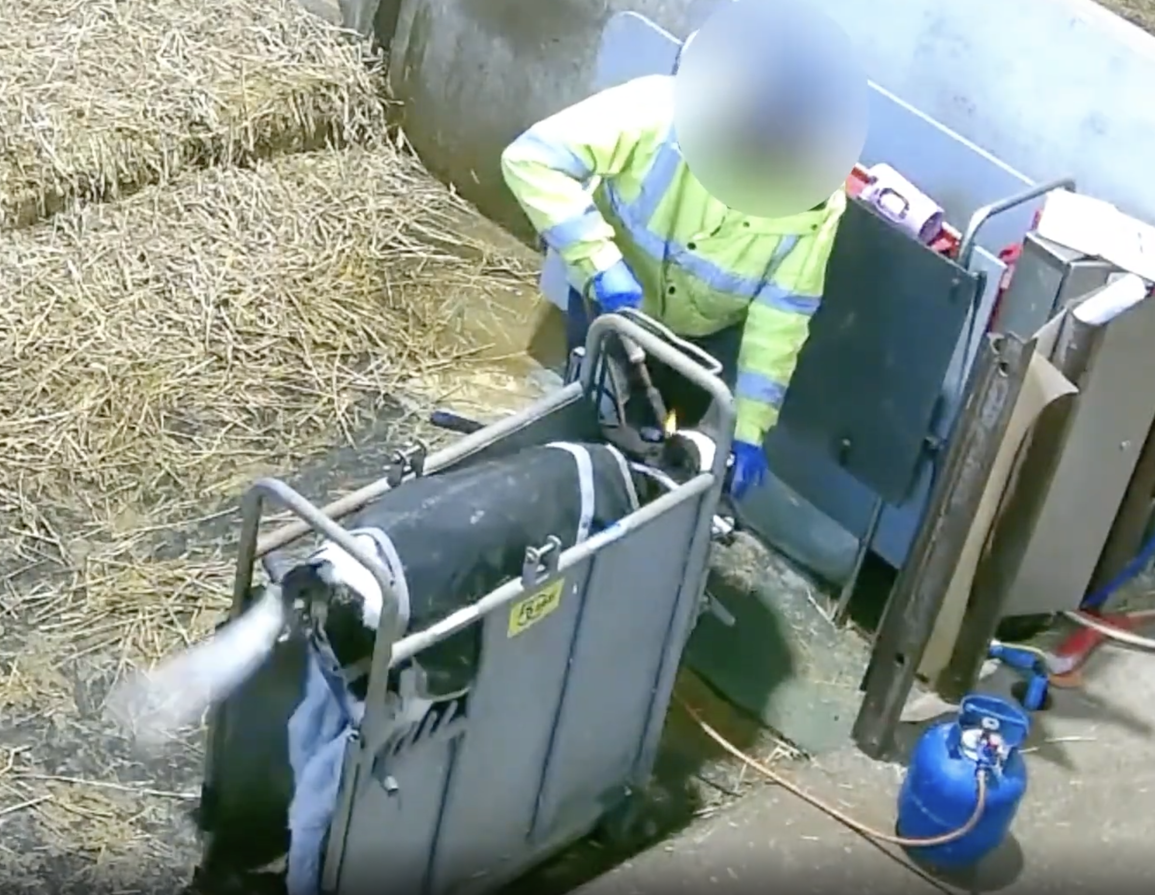 Person in a reflective jacket working with machinery in a straw-filled environment.