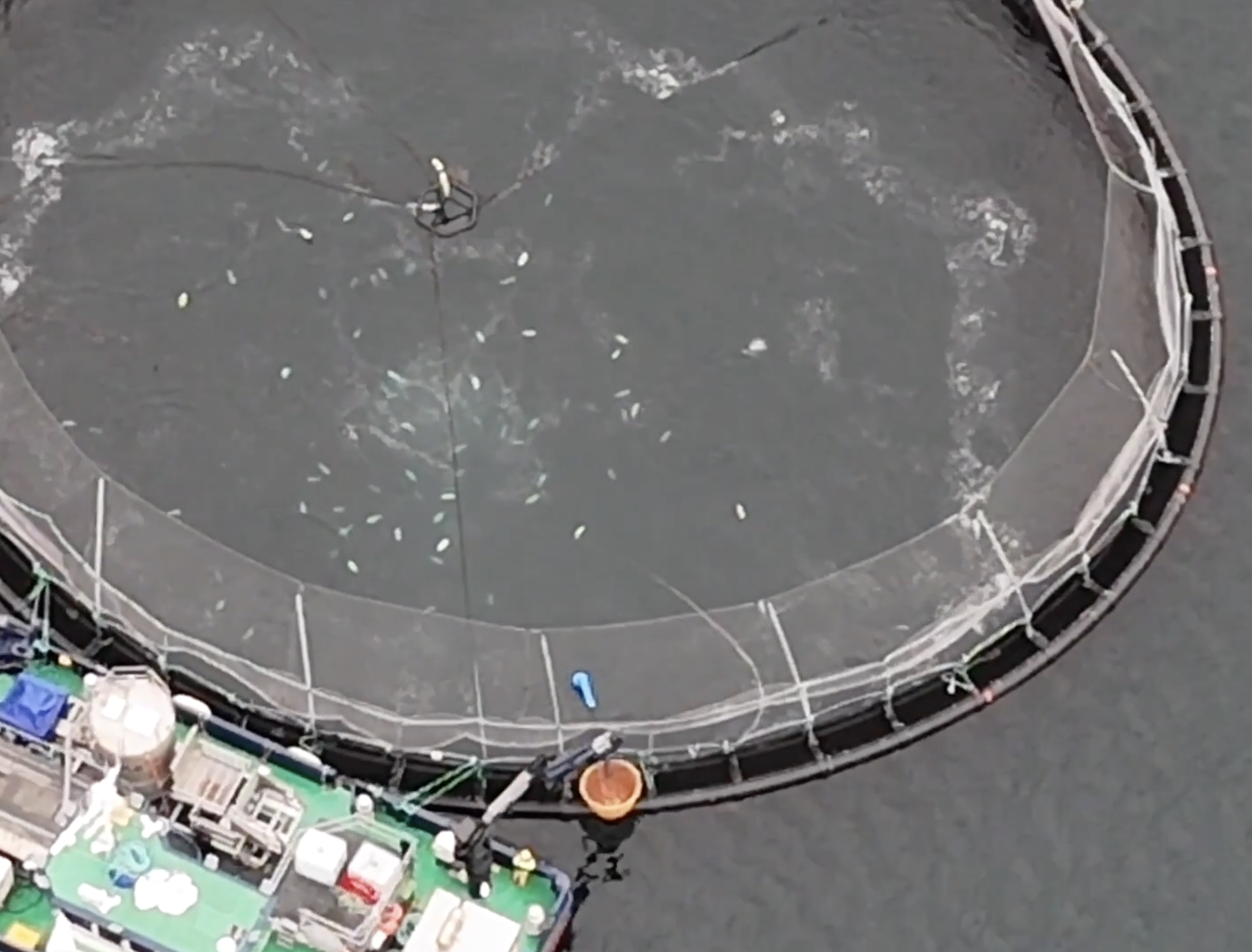 An aerial view of a large fish farm with structures and equipment on the edges, including a blue object in the center, a large orange container, and various ships and vessels docked nearby.