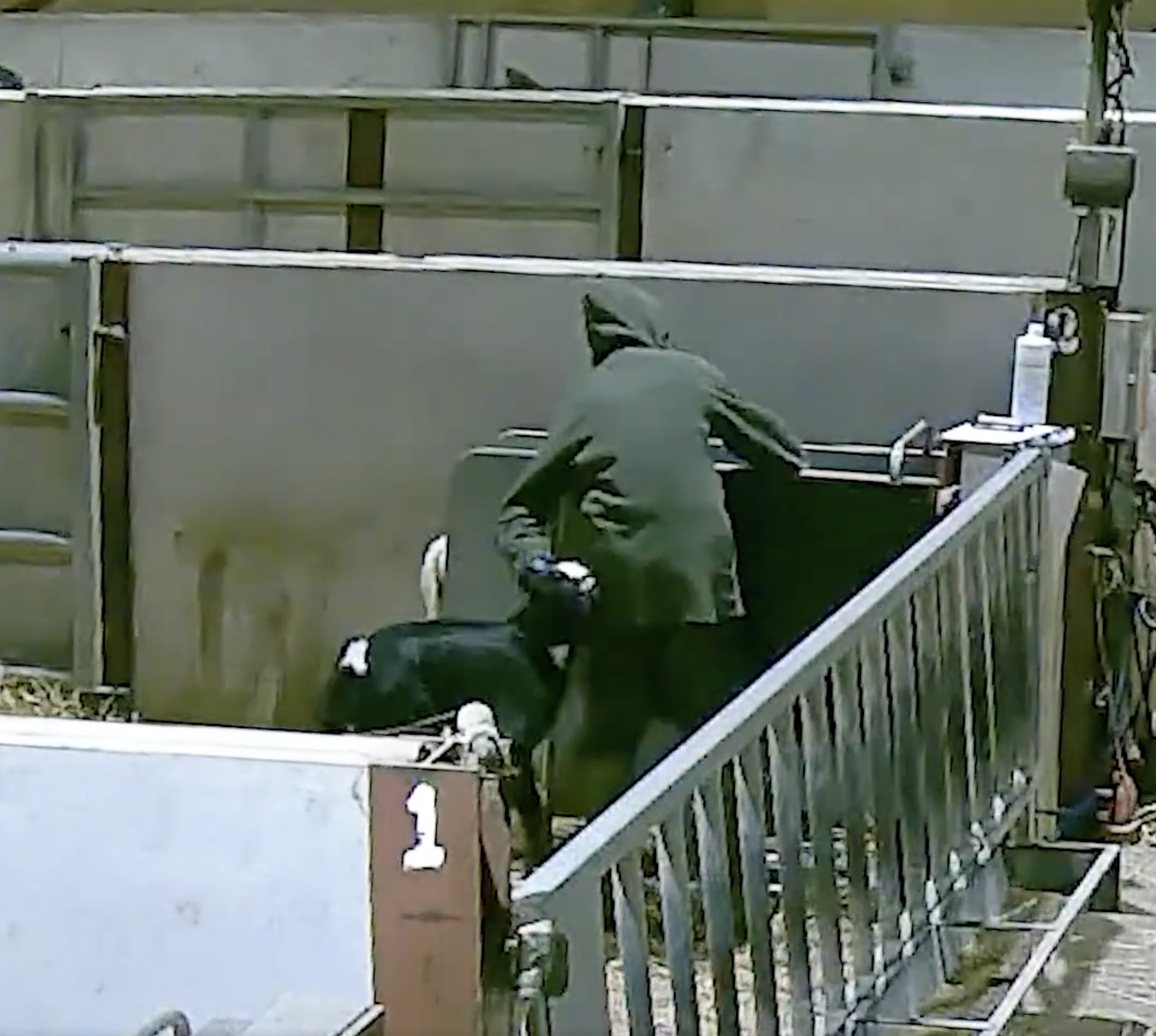 A person in a gray hoodie and black pants sitting on a bench or ledge next to a staircase with a wooden railing, in an indoor or outdoor setting with a green structure and a gray wall.