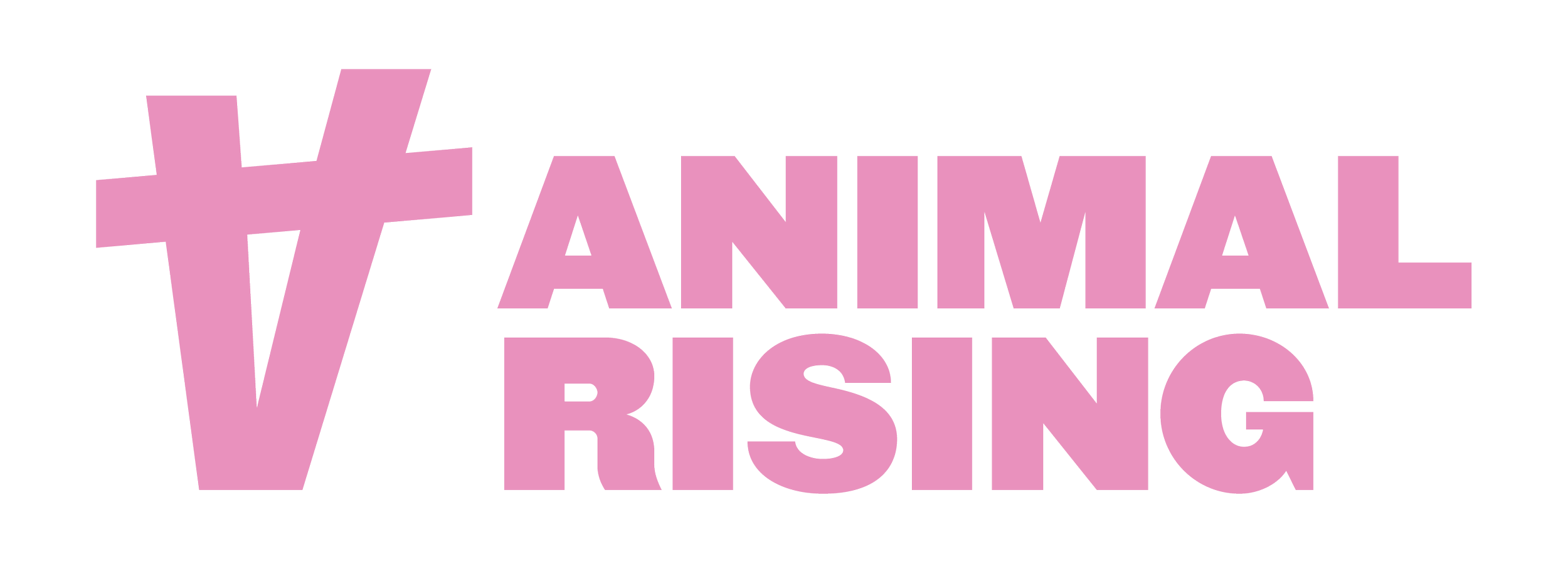 Pink hashtag symbol followed by the words 'Animal Rising' in bold pink letters.