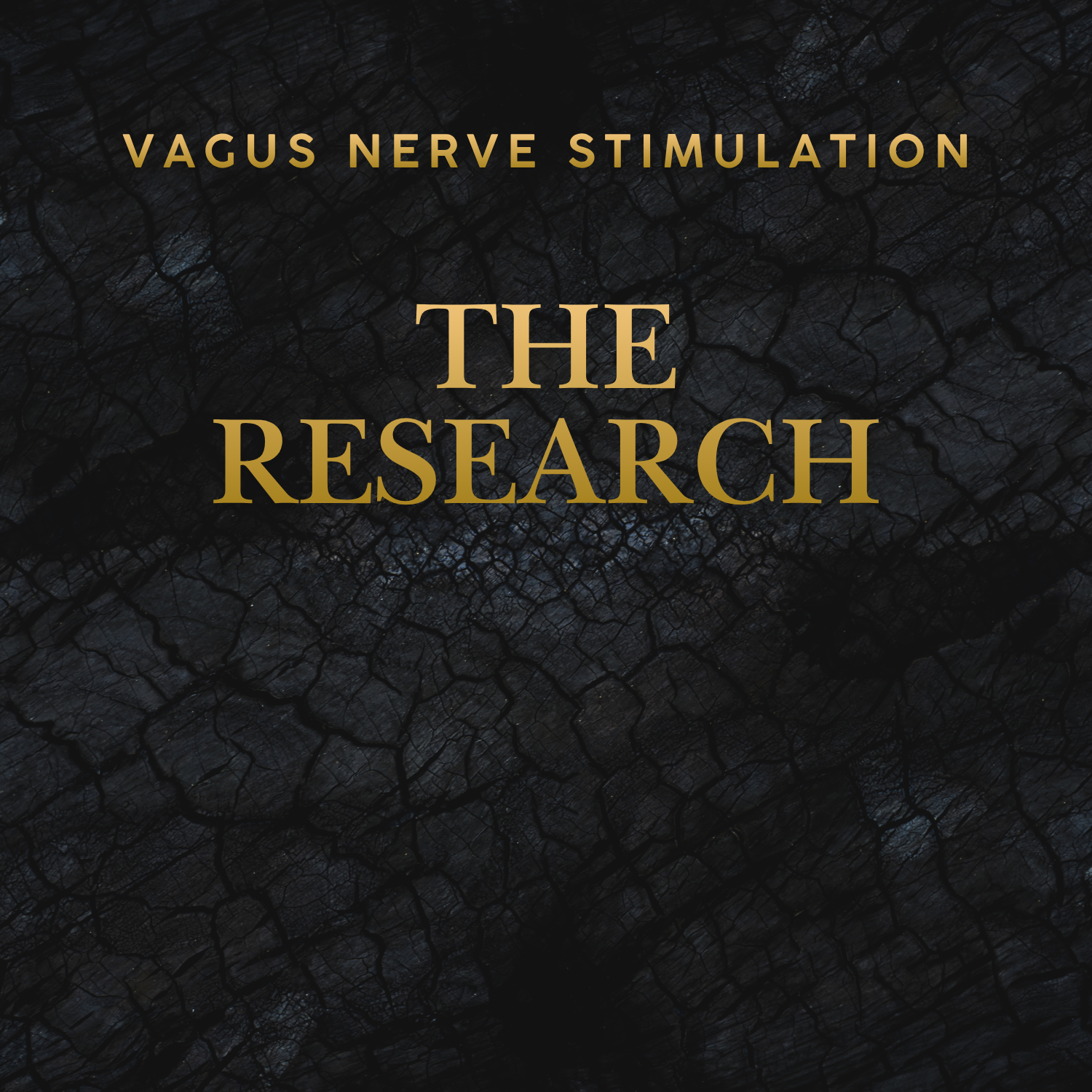 THE DEEPER DIVE: VNS