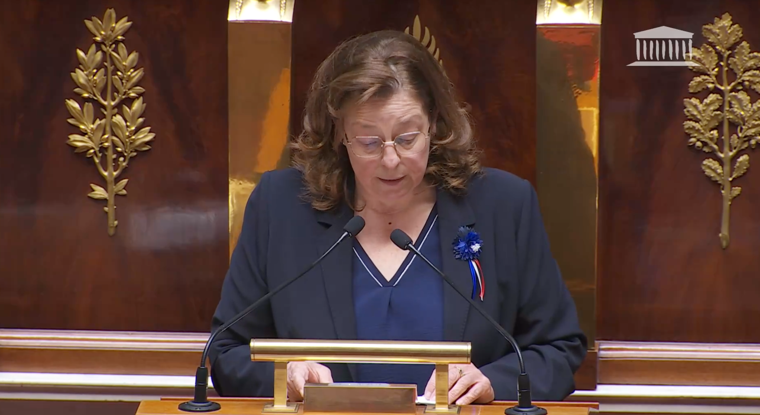 Prise de parole sur la LPM en hémicycle
