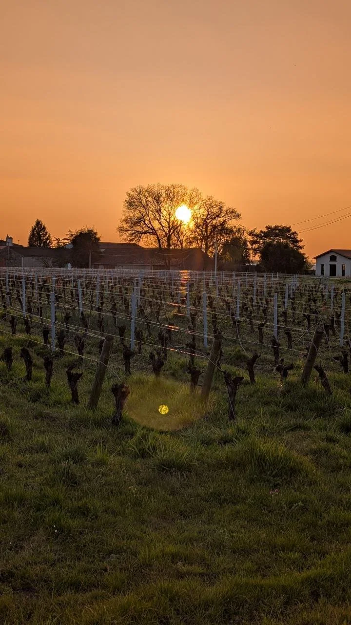 Matin Circonscription