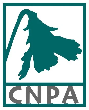 CNPA Flower HIRES LOGO-Teal - Nicole Deen.jpg