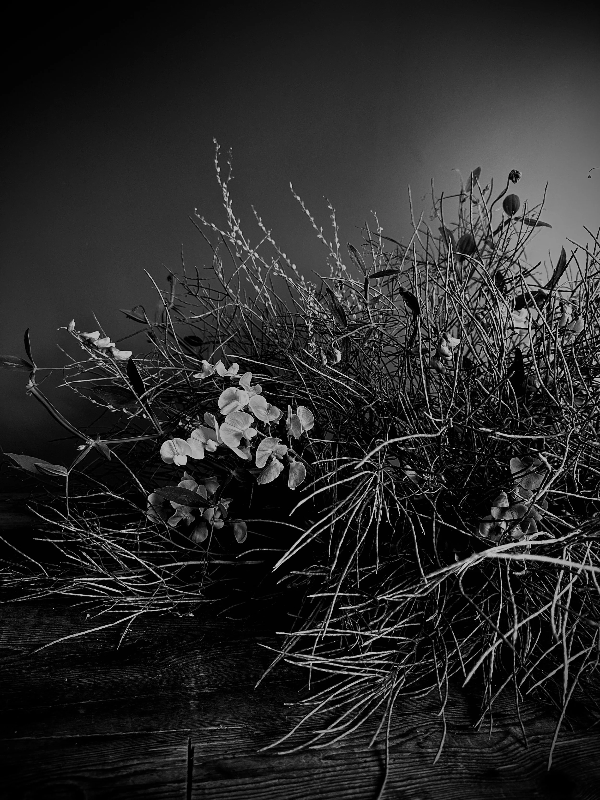 Black and white photo of a bunch of intertwined dry branches and leaves on a wooden surface.