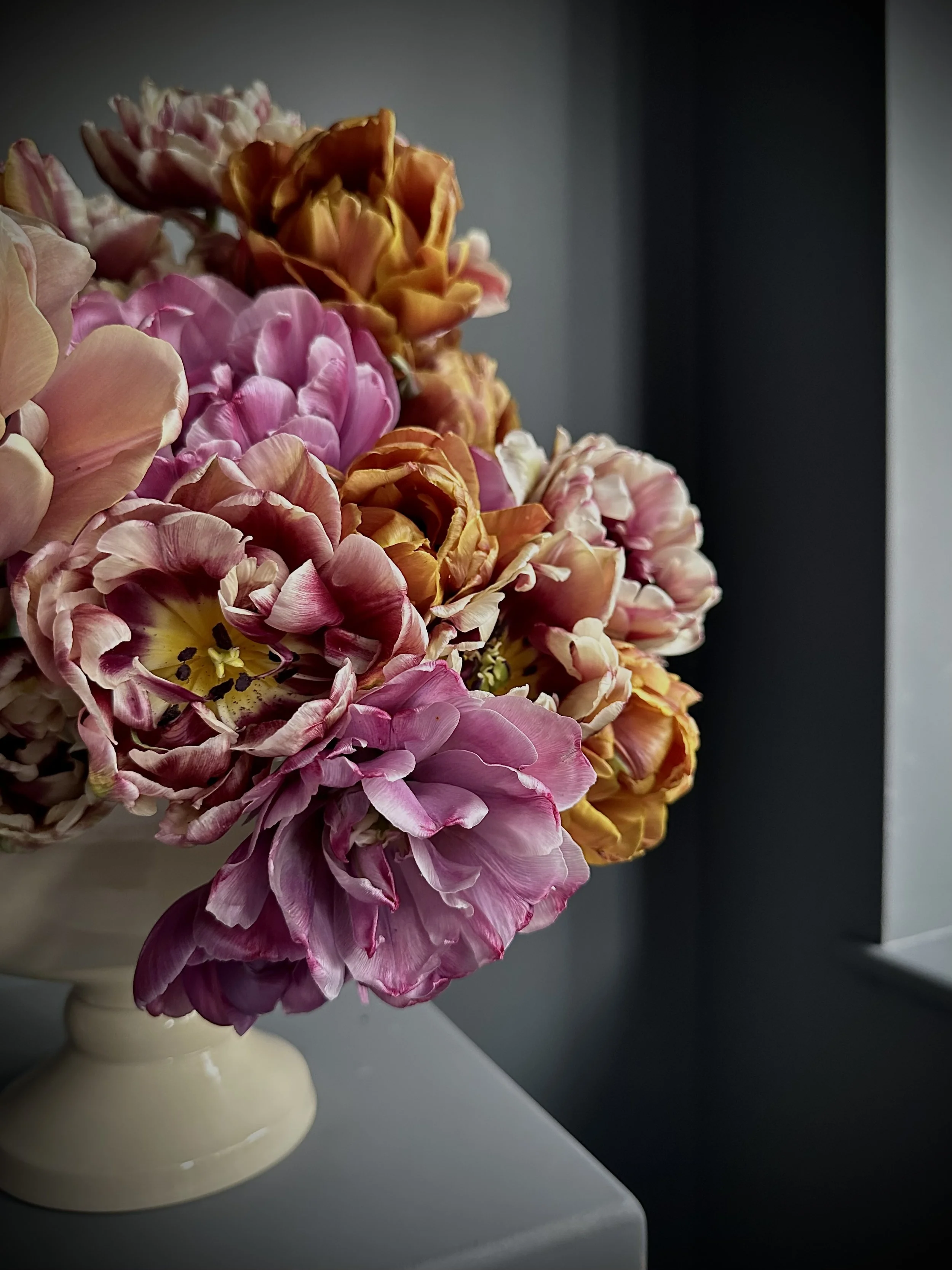 Luxury Tulip design