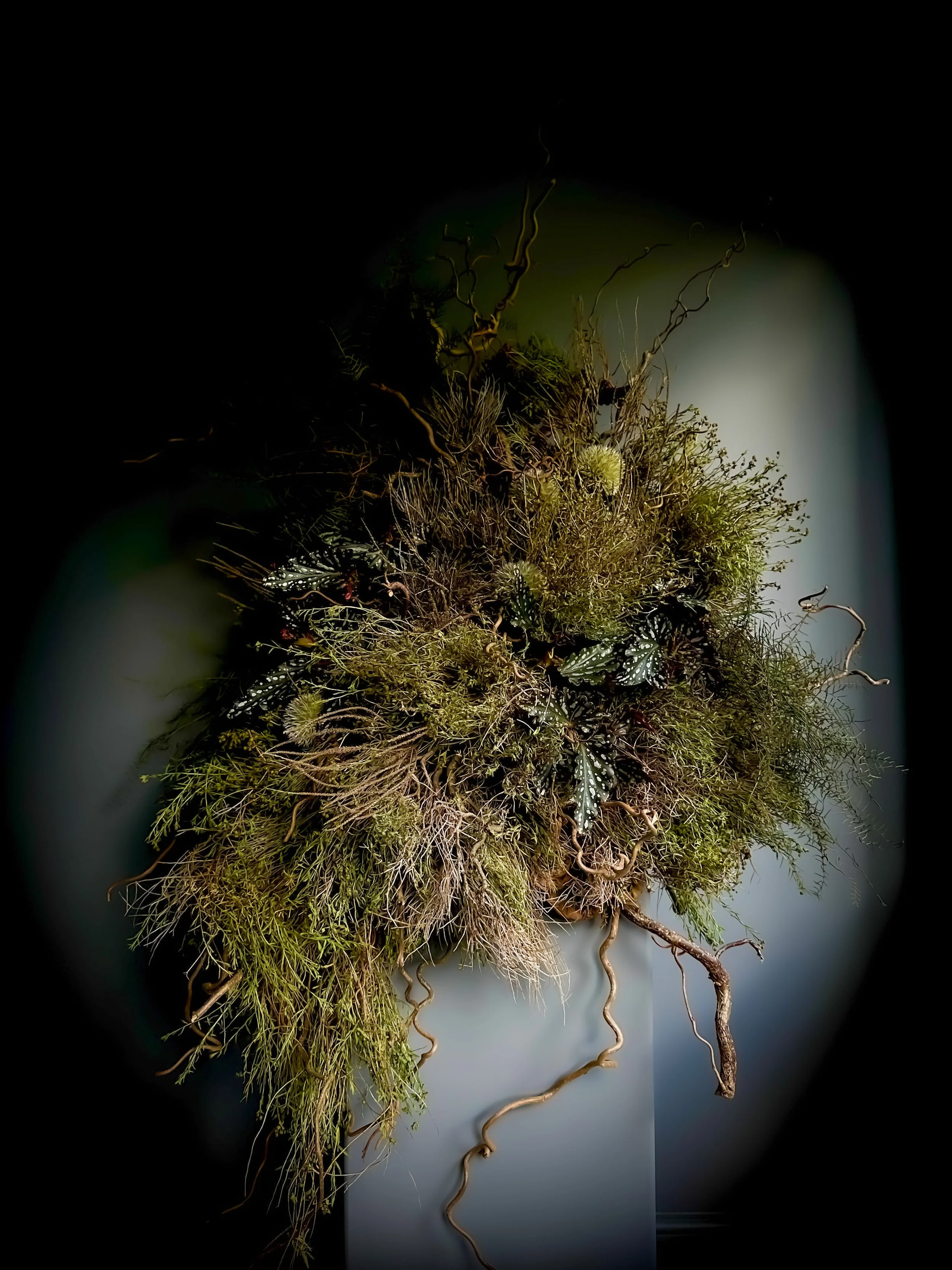 wild botanical photoshoot installation