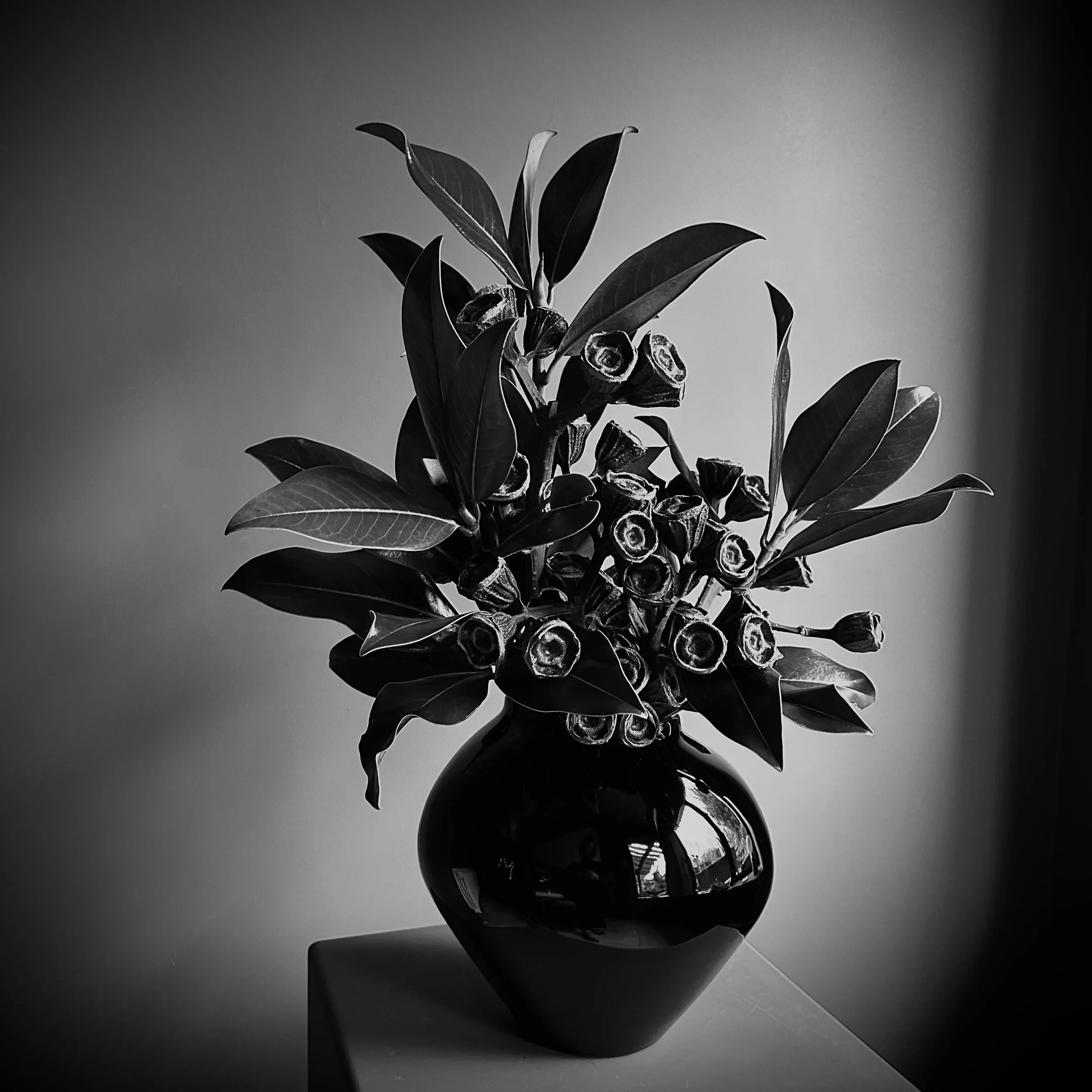 Sculptural botanical event design