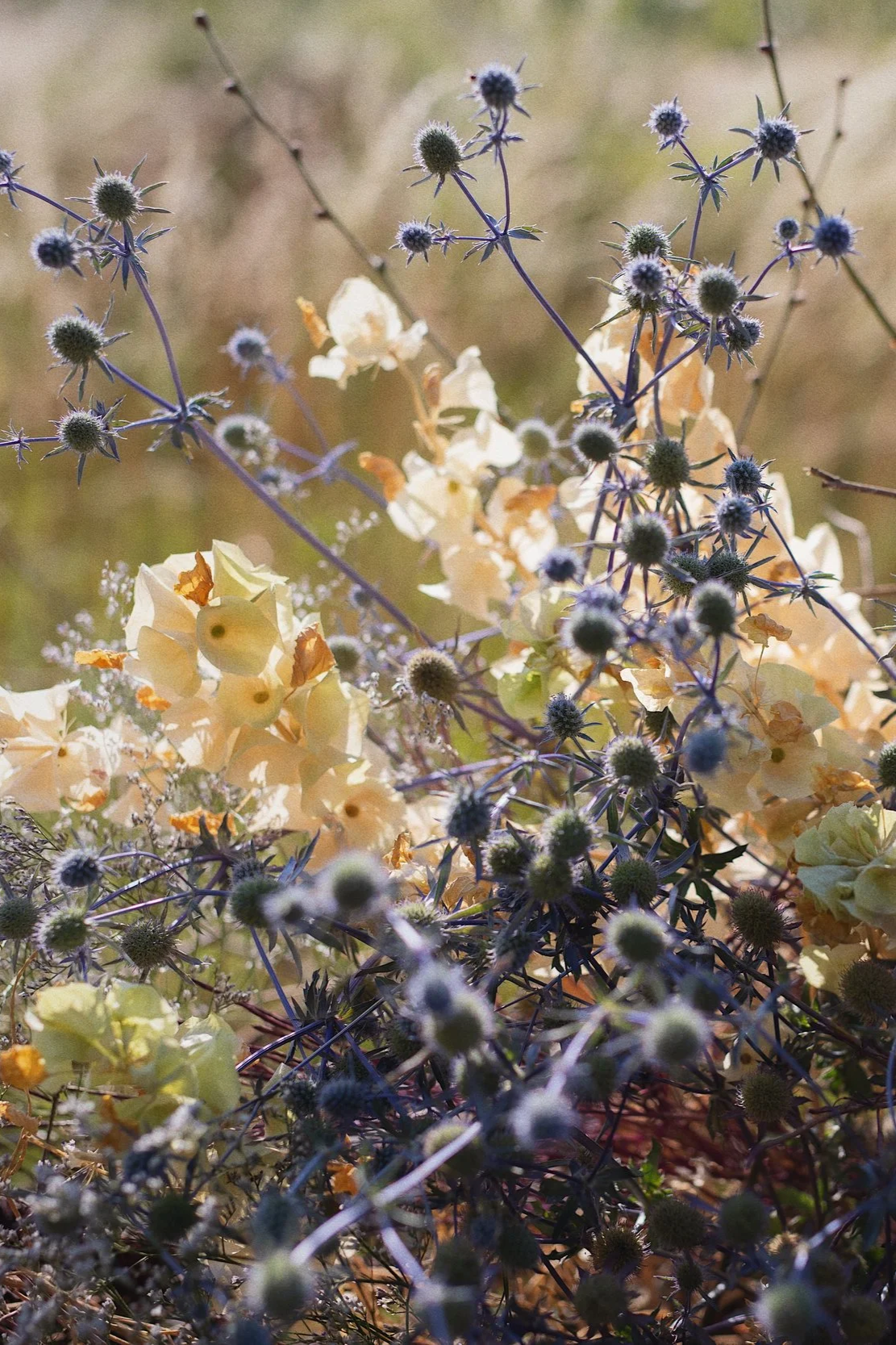 Unusual creative botanical installation design private client