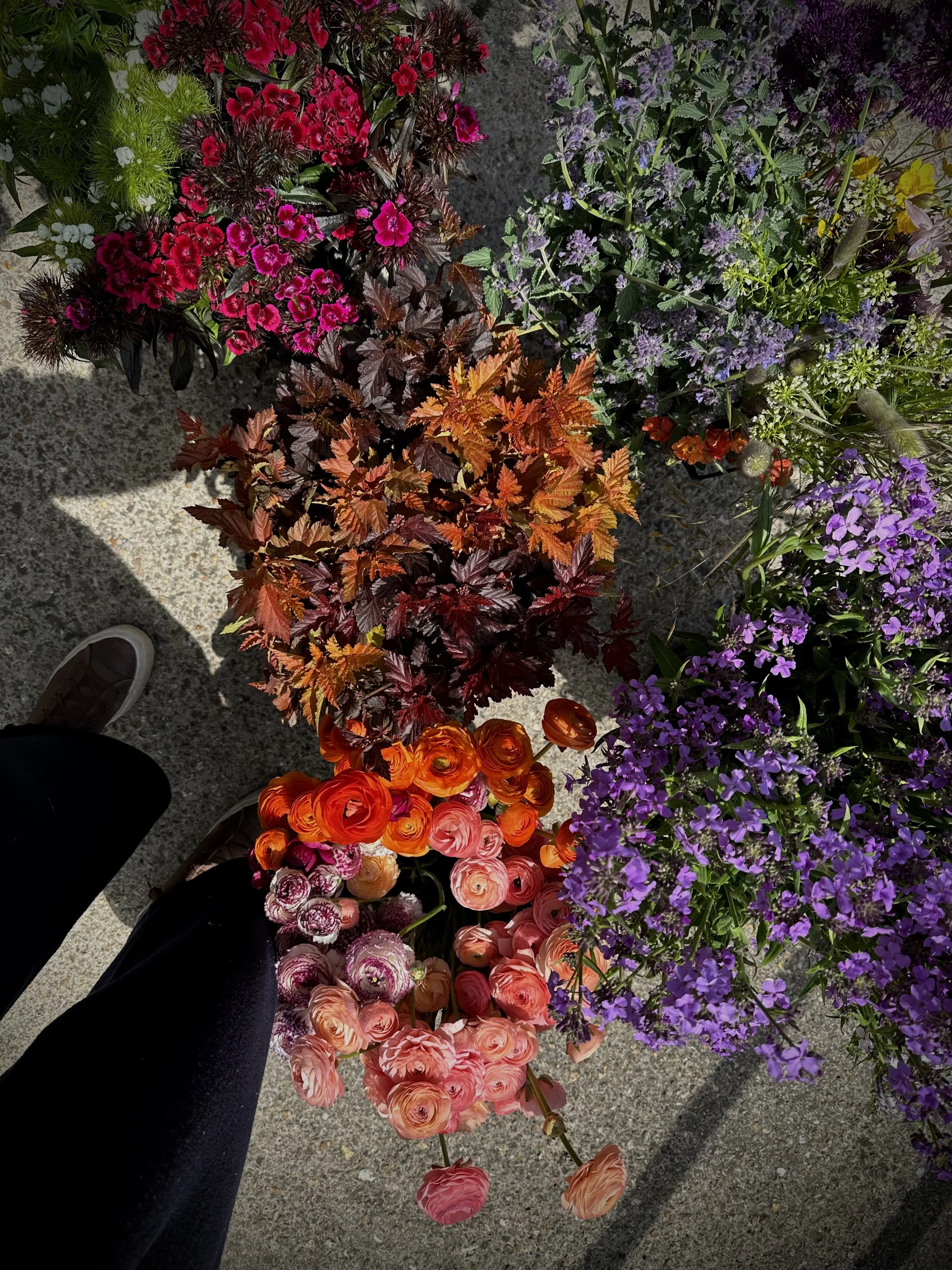 Sustainable materials for an immersive botanical brand installation