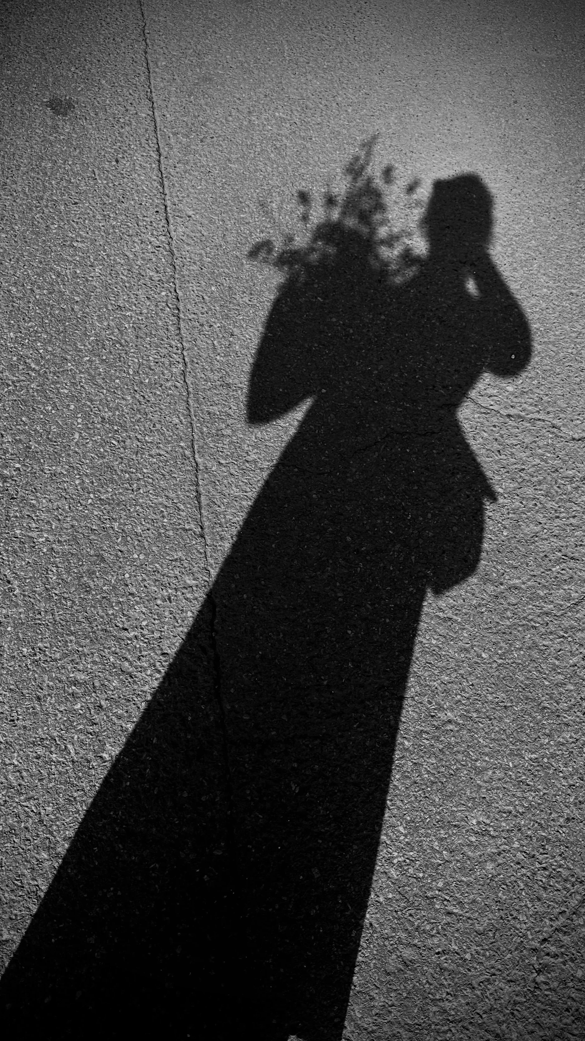 Floral design silhouette London