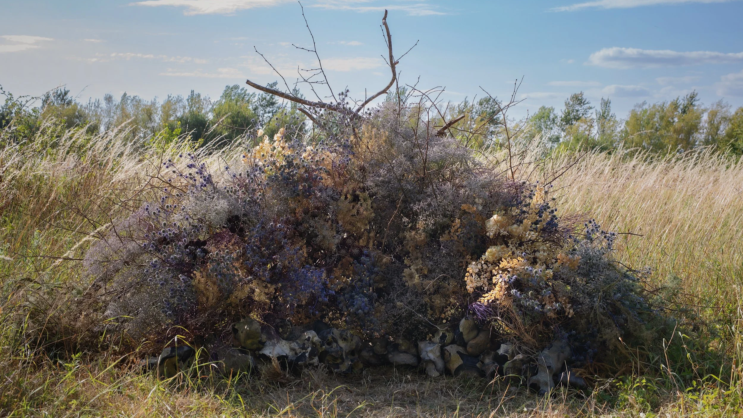 A large scale immersive botanical installation in a countryside setting.