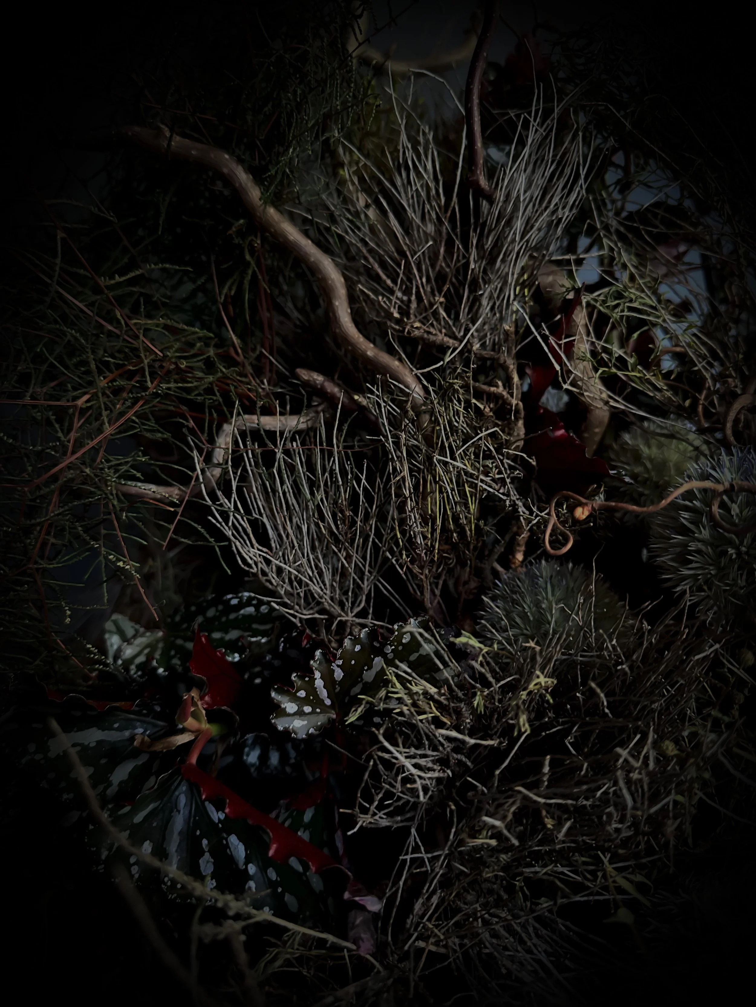 botanical texture detail installation event