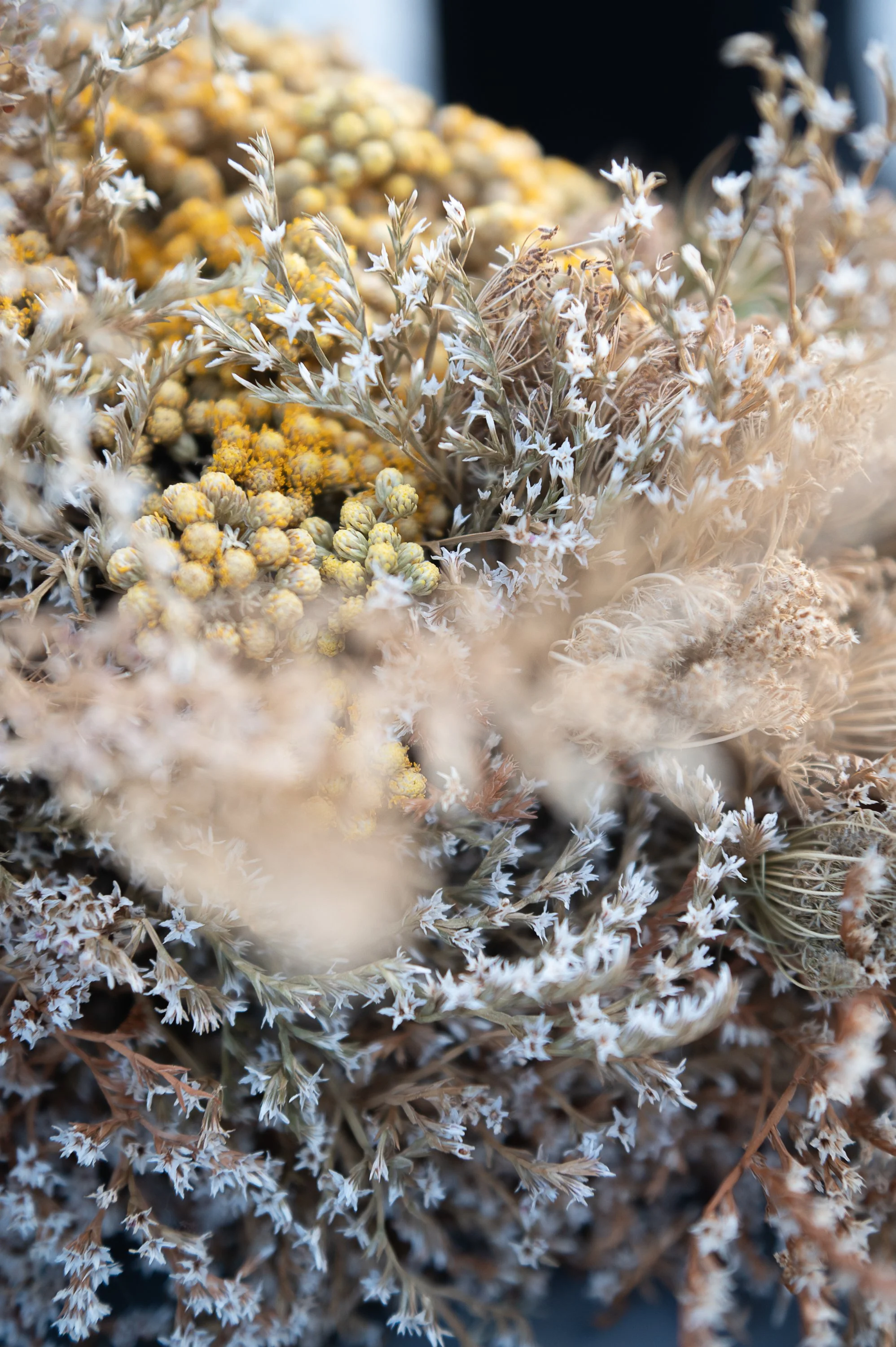 Dried decorative flowers and plants in neutral and white tones