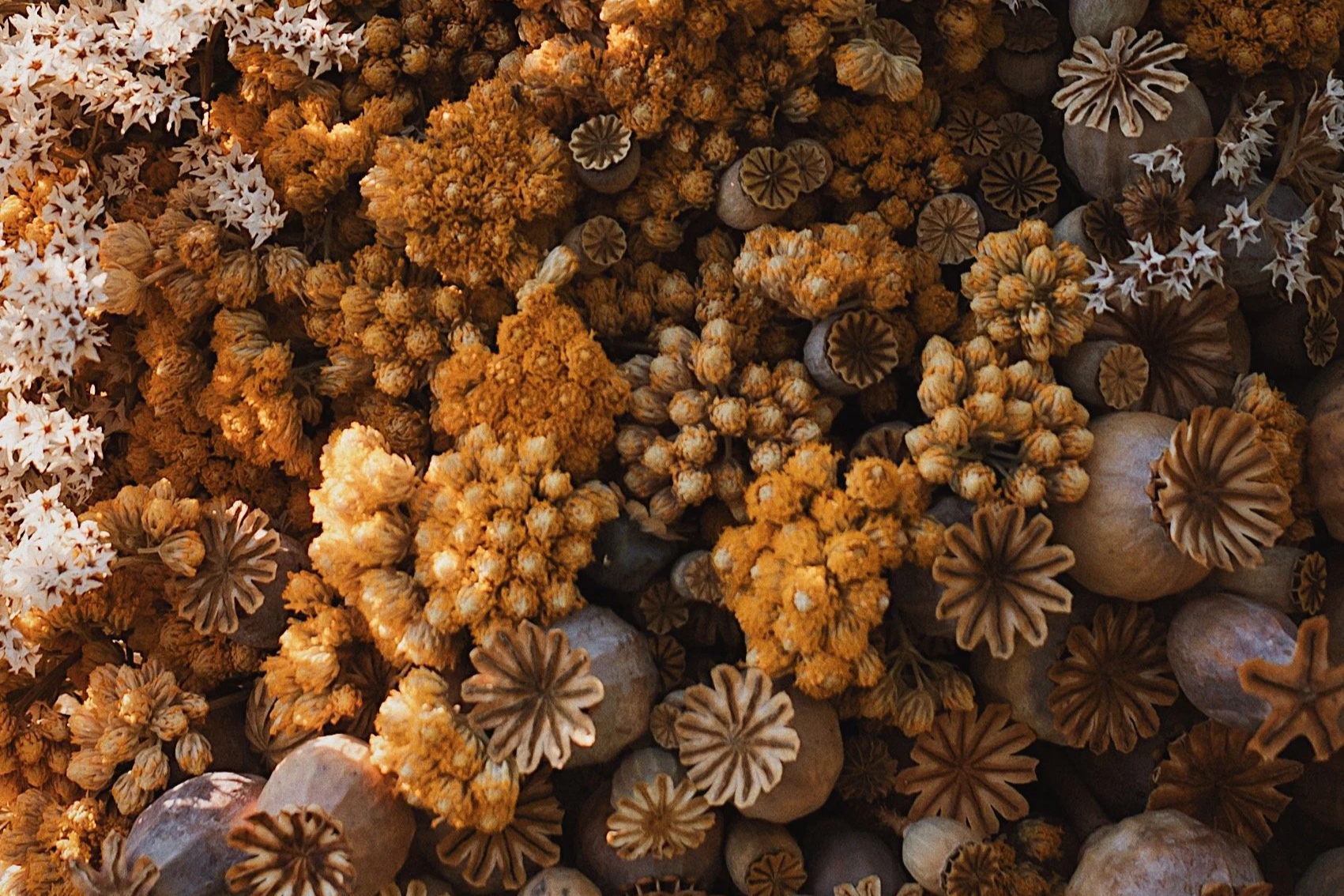 textural natural floral installation design