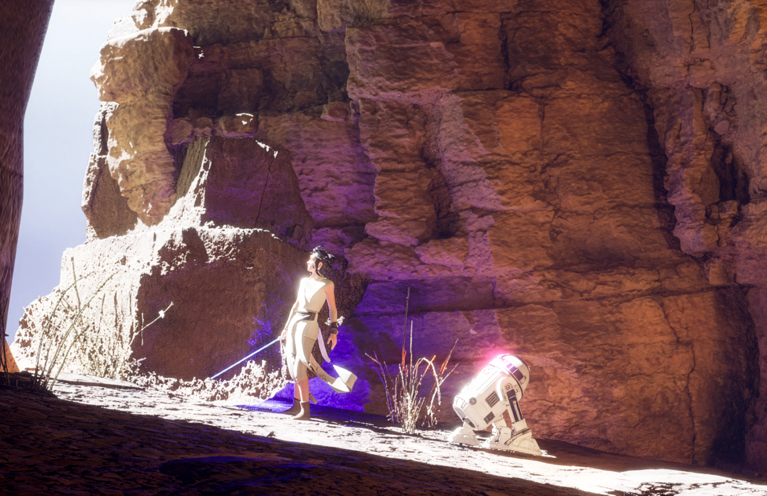 Rey and R2D2
