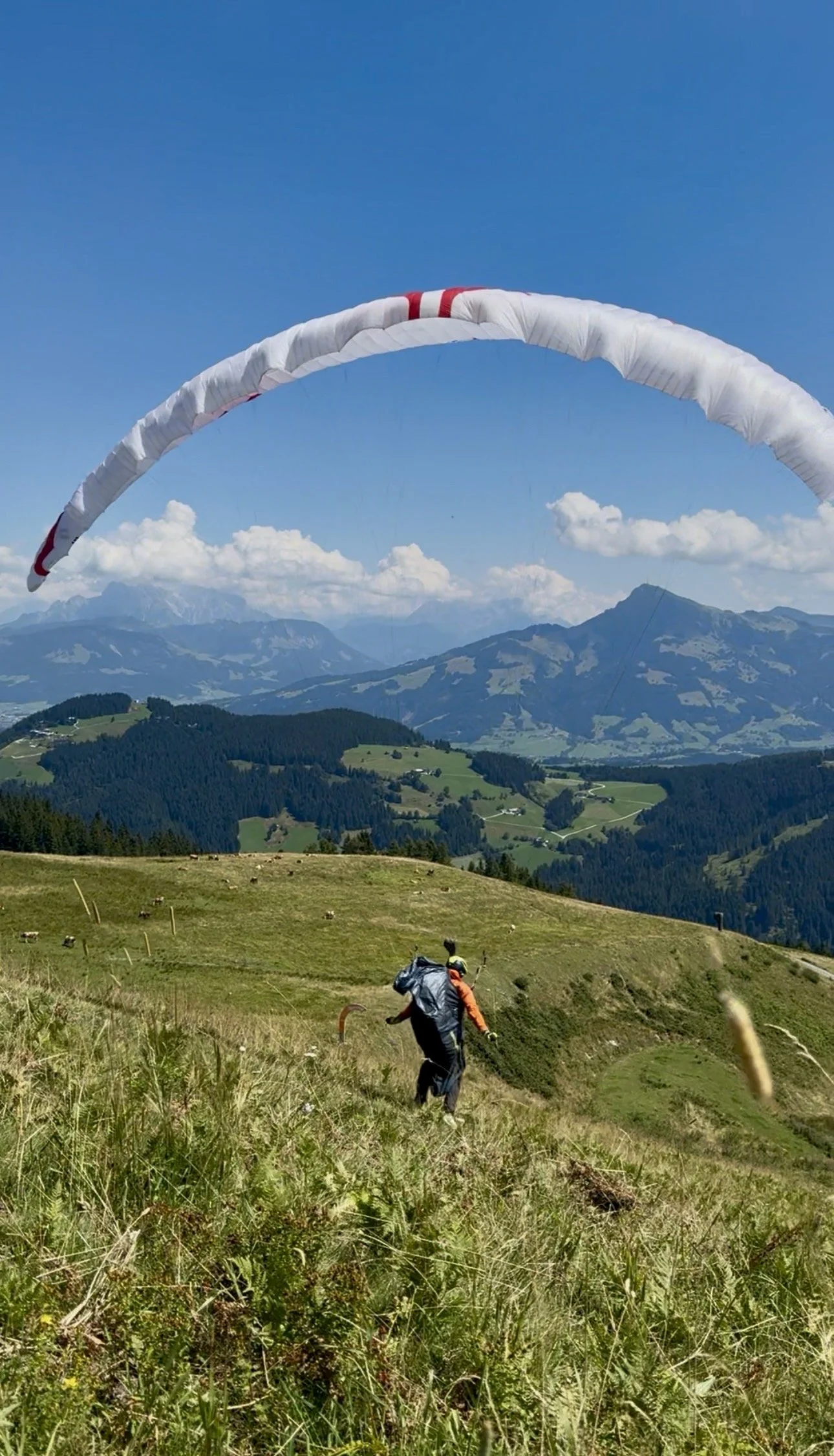 Gleitschirmflieger auf einer alpinen Bergwiese vor einem beeindruckenden Bergpanorama und blauem Himmel