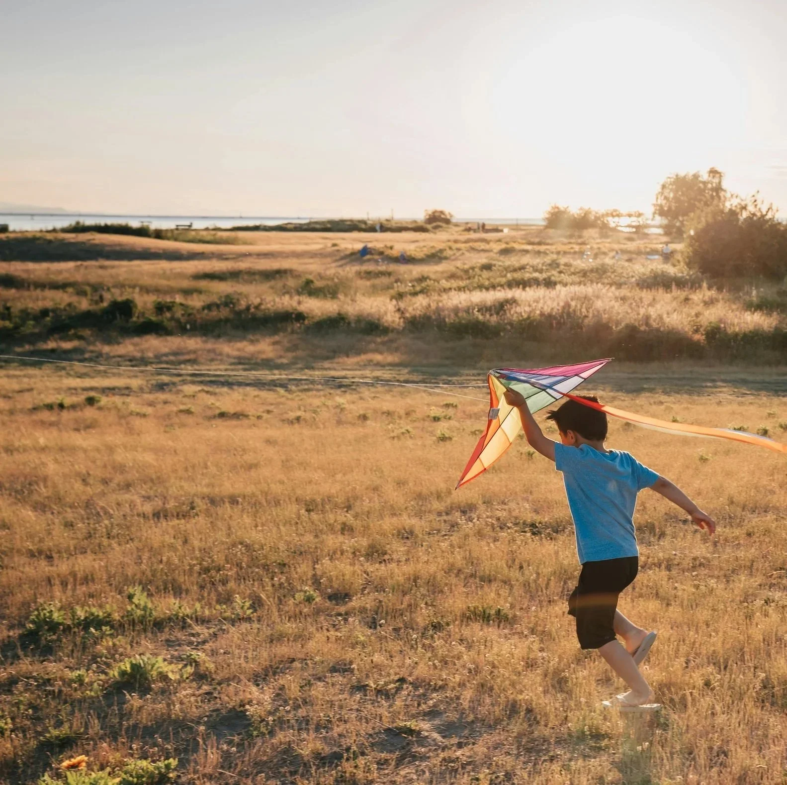 From Financial Fragility to Strategic Confidence:  Waldorf School Governance Transformation