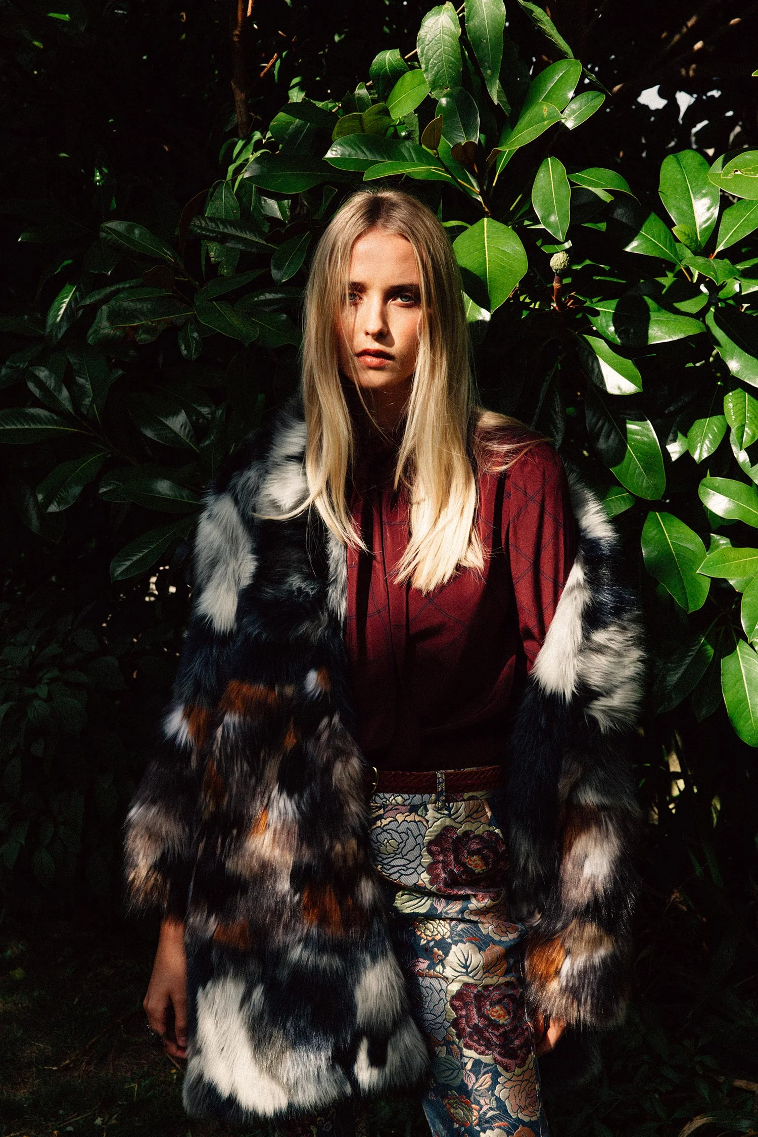 Circus Journal (Copy)