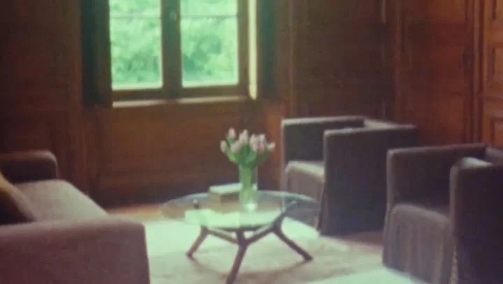 8mm shot for @yarncollective 
In Sancerre, France. 🌿