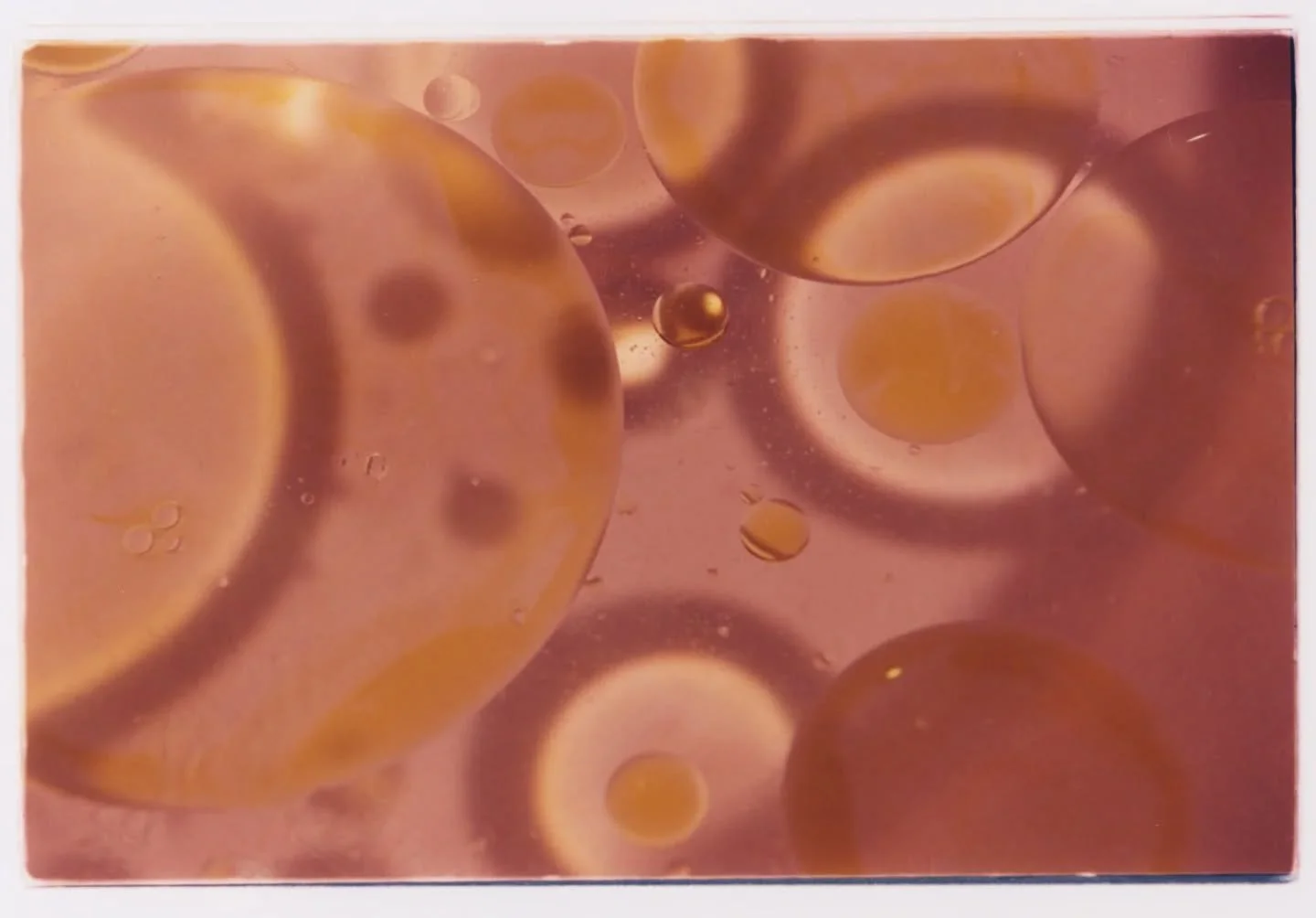 35mm hand prints and 8mm 
Shot for @rowsebeauty 

Special thank you to @clovis_picture for all of your help making this vision come to life 🩷