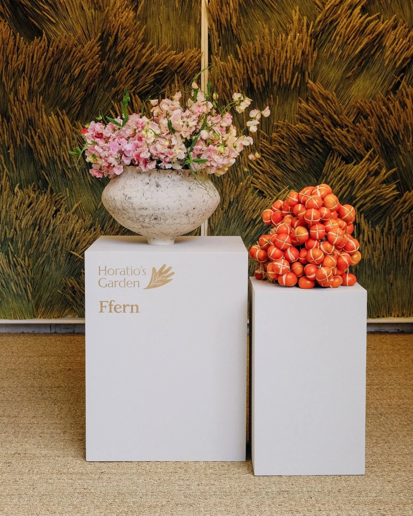 Photographed &ldquo;An Exhibition of Hope&rdquo; for @ffern.co at this year&rsquo;s @the_rhs Chelsea Flower Show 🌿✨

Such a beautiful and thoughtful installation to document, created in partnership with @horatiosgarden and brought to life by @fridak
