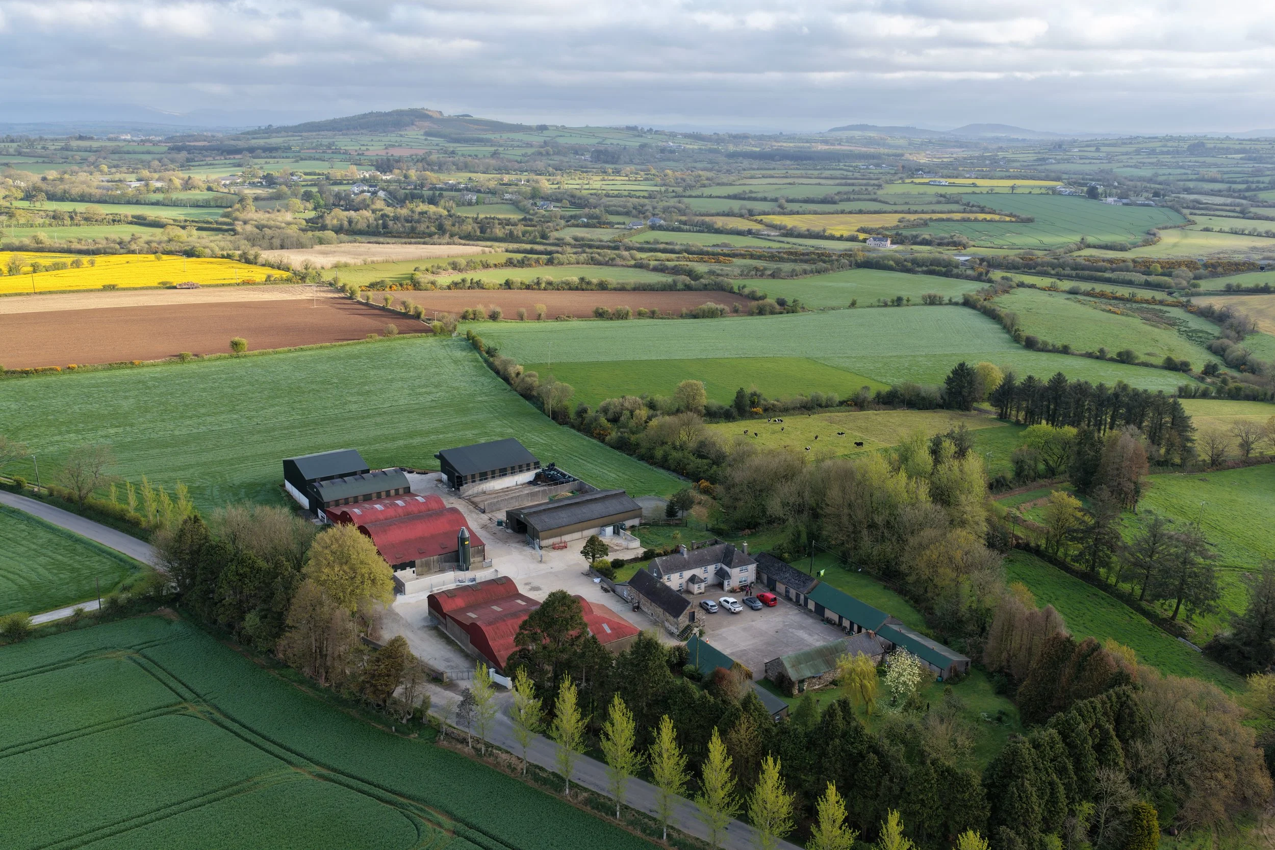DJI_20260421075510_0033_D.JPG