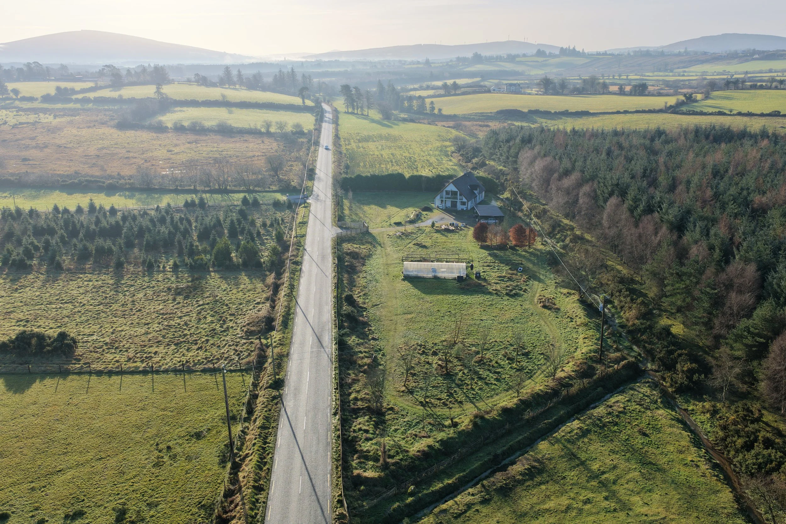 DJI_20260110104846_0009_D.JPG