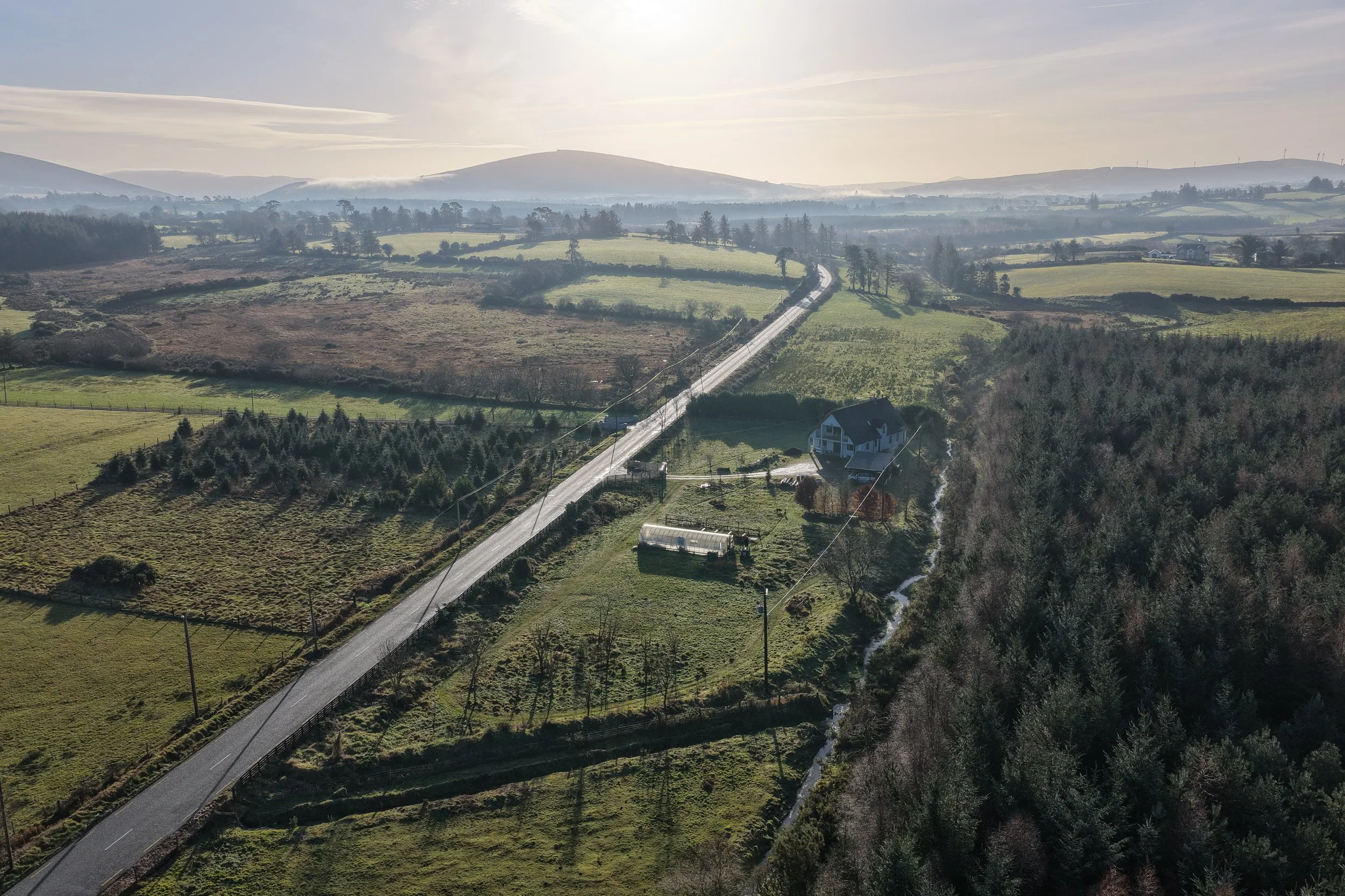 DJI_20260110104816_0007_D.JPG