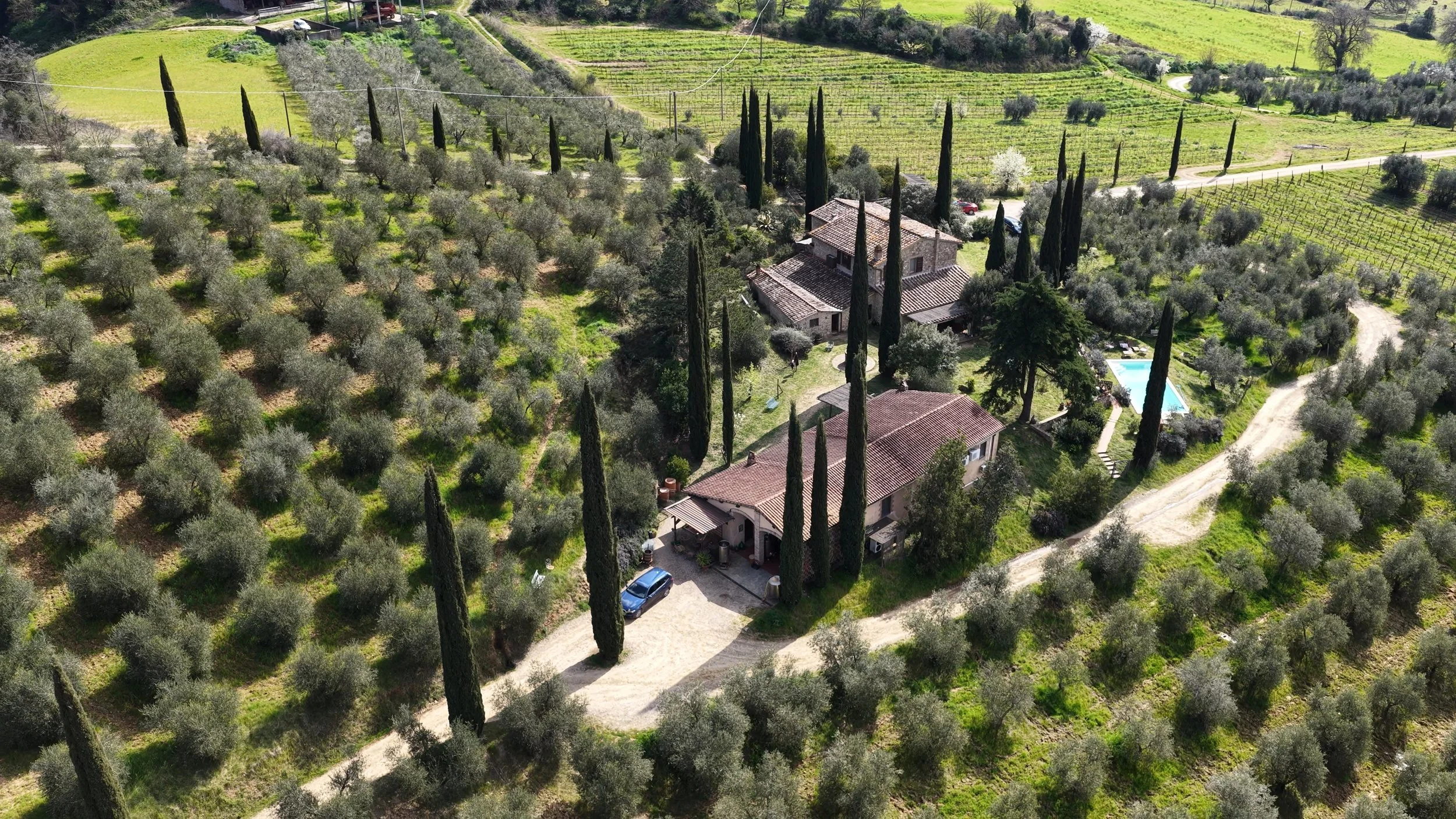 Atavica Winery • Tuscany Italy