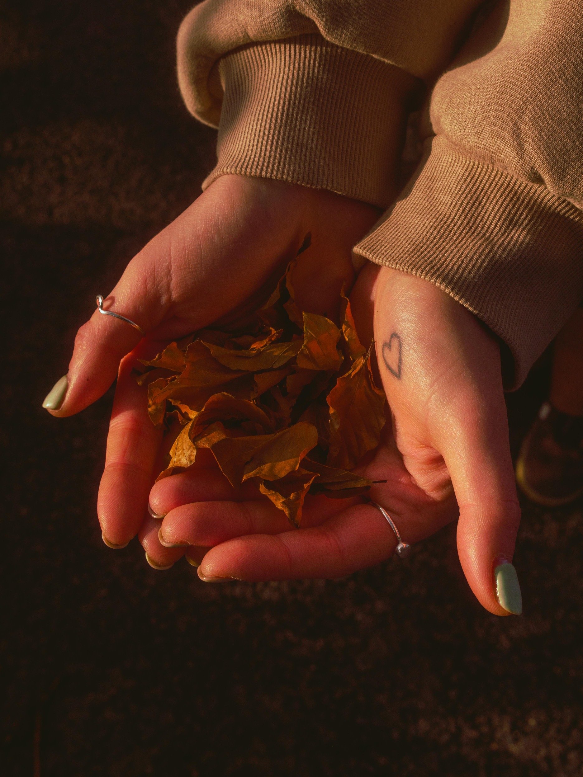 cranial-osteopath-folkestone-alchemy-practice-yoga