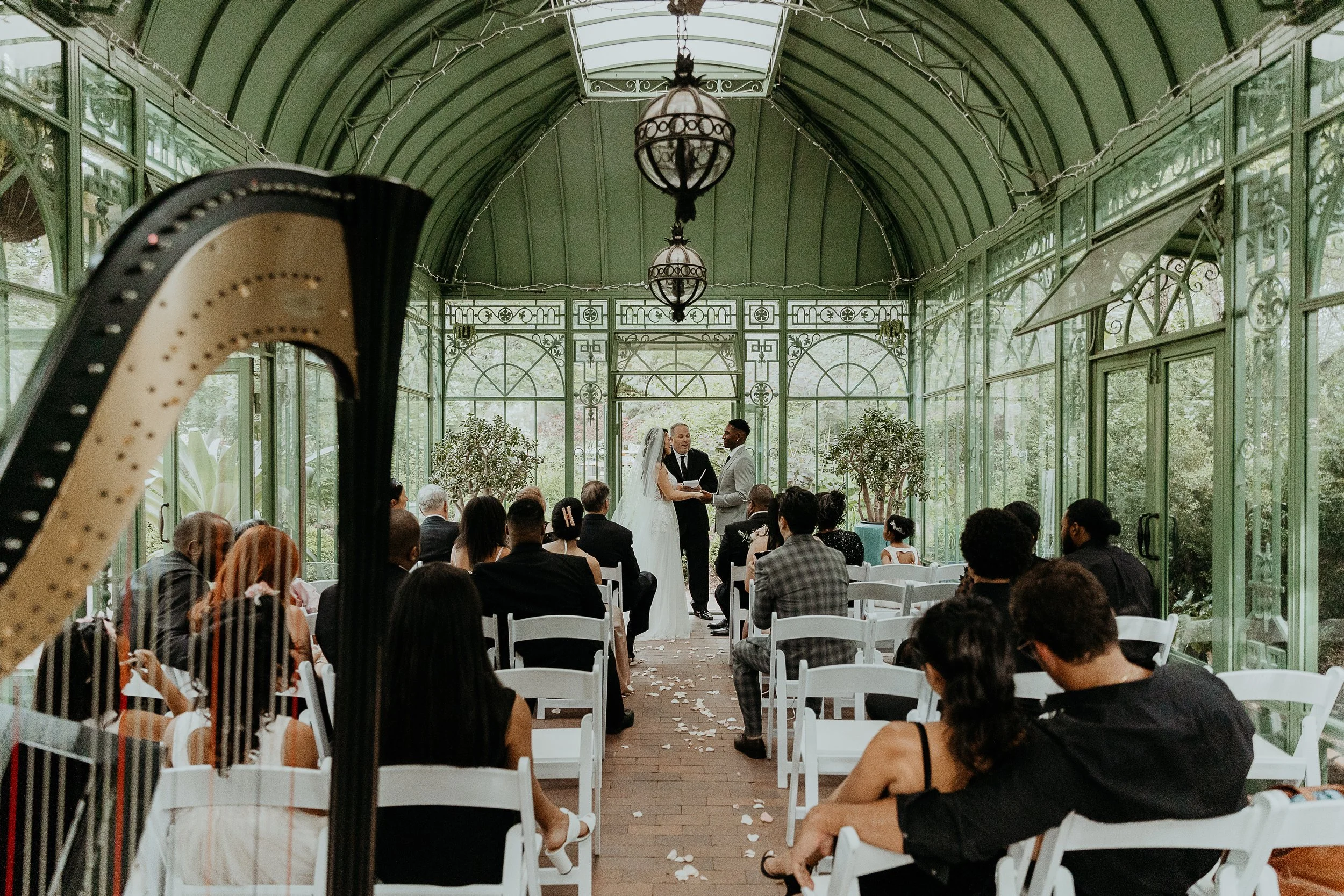 Hiring a Harpist in Colorado: What to Expect from Booking to Wedding Day