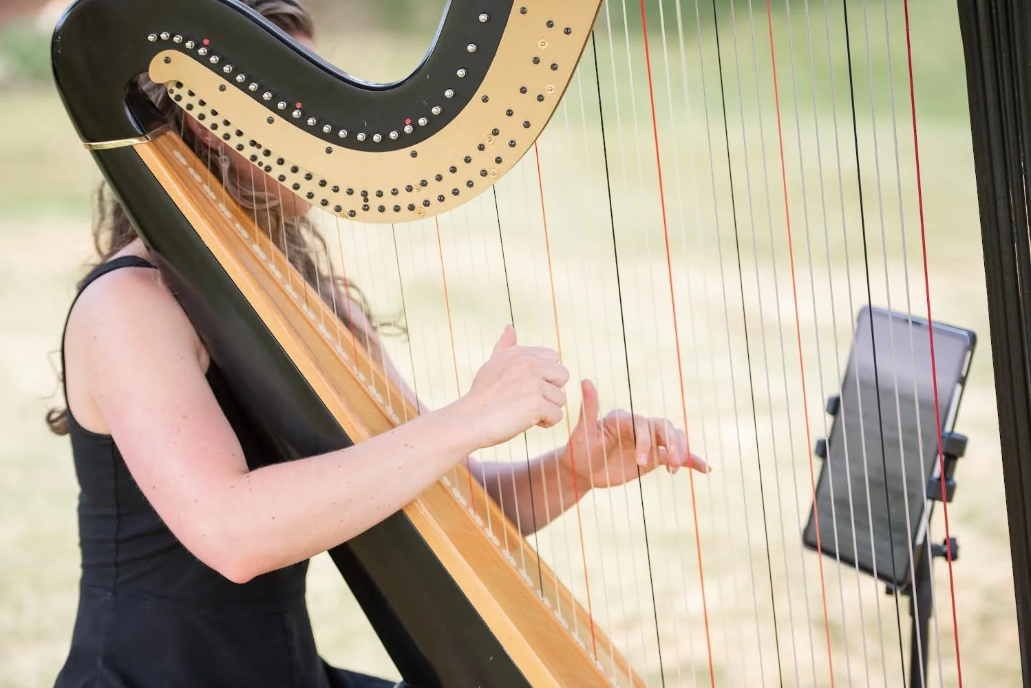 How to Choose Wedding Ceremony Music (Expert Guide from a Colorado Wedding Harpist)
