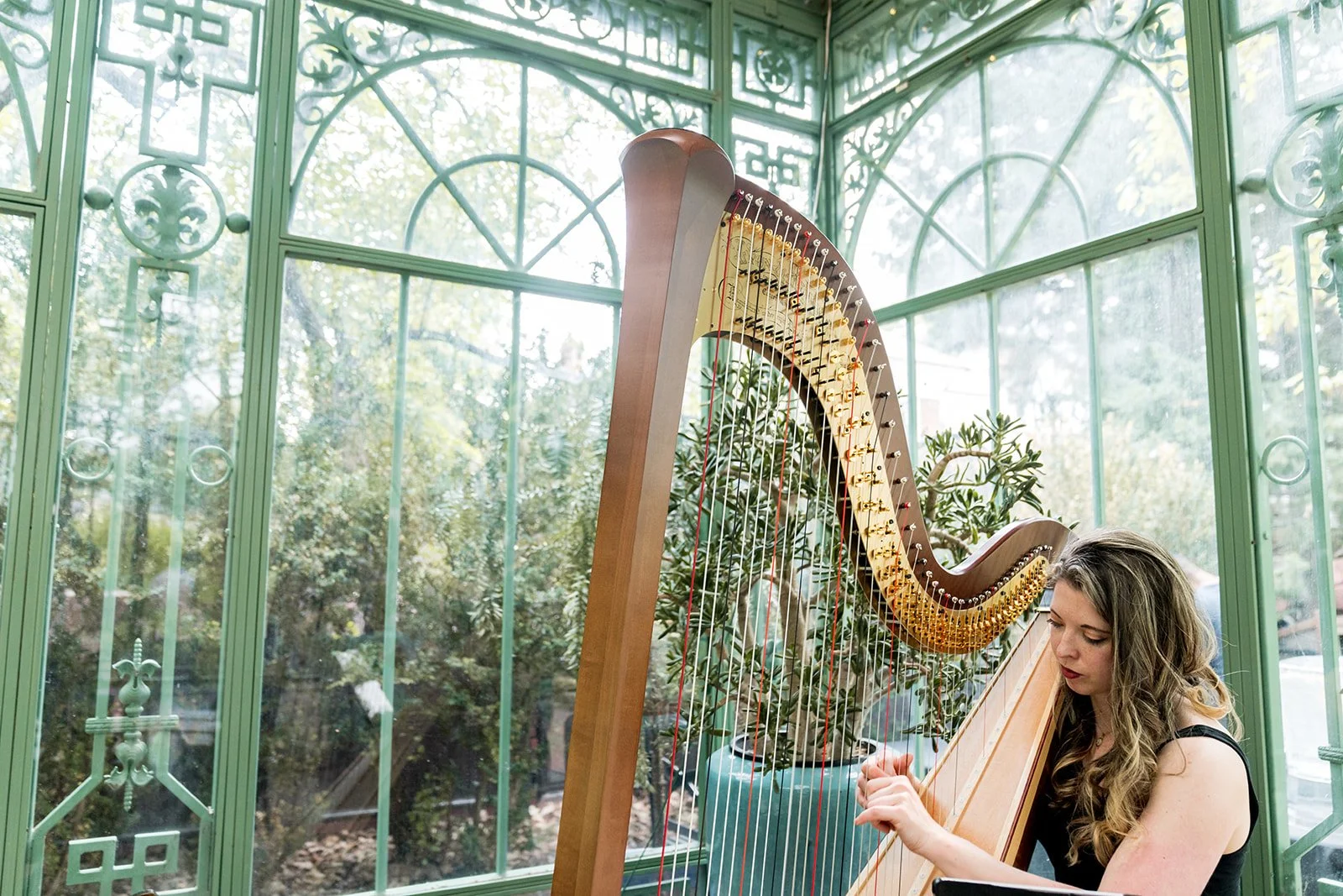 Ceremony and reception. Denver Botanic Gardens, CO