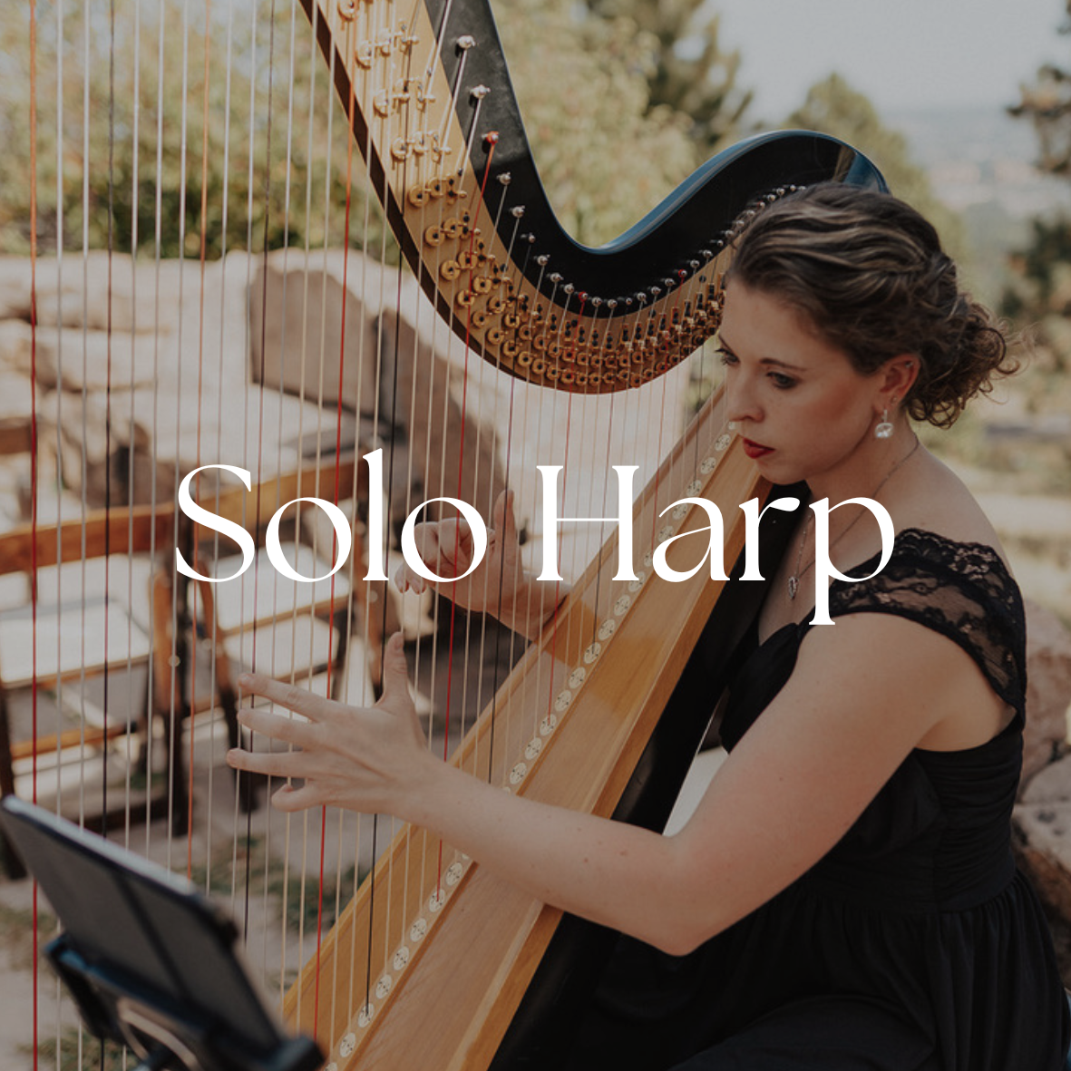 Solo Harp Icon