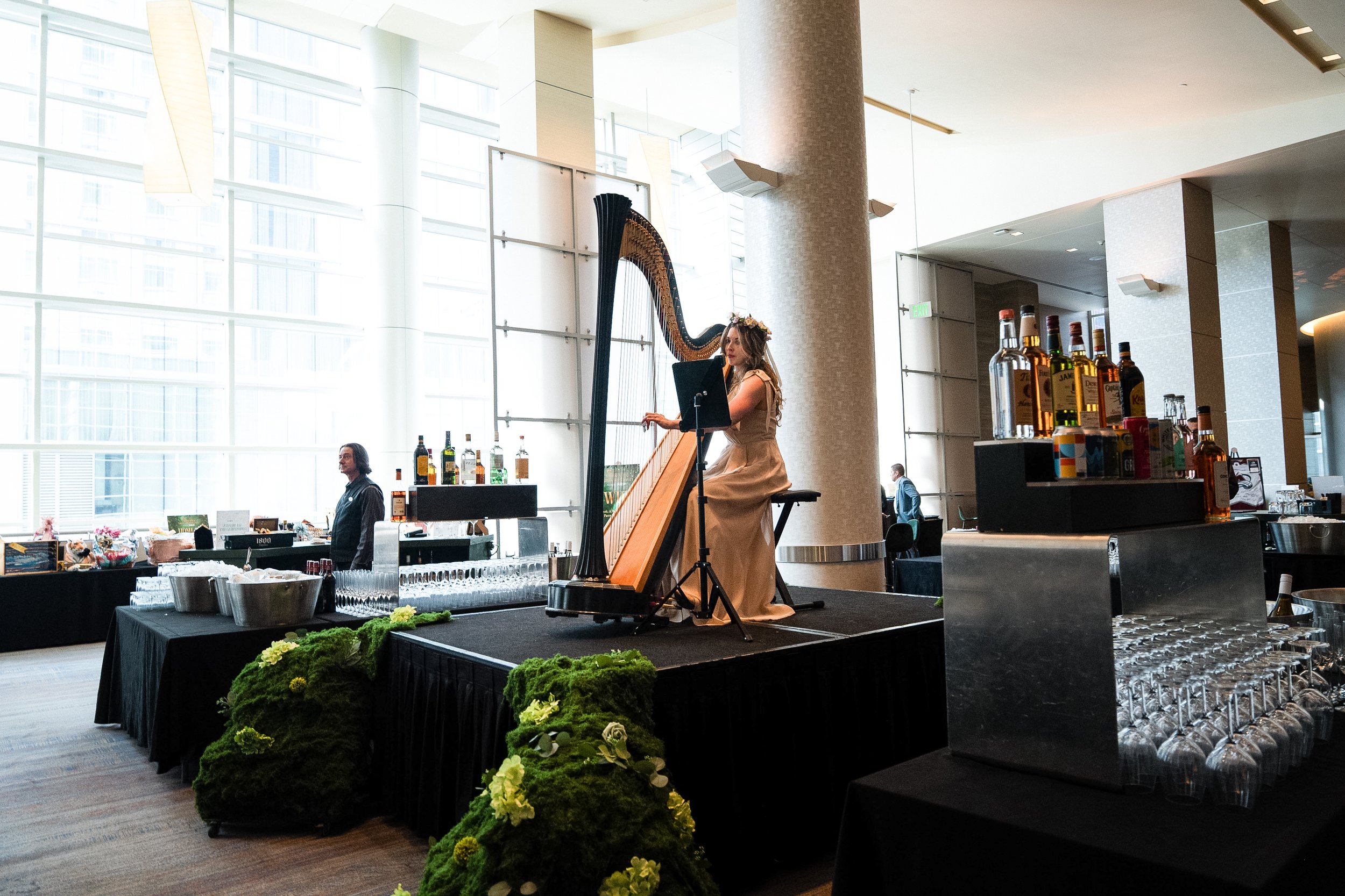 Solo harp performance for the cocktail hour at a non-profit annual gala.