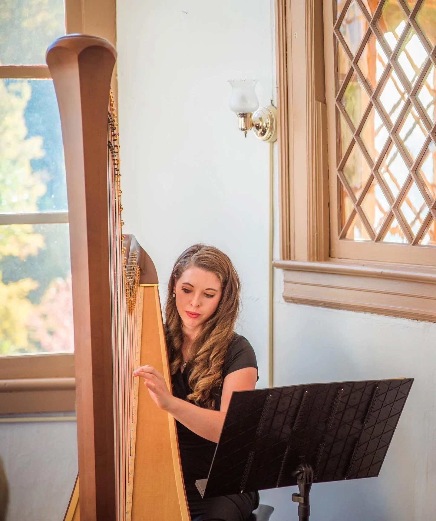 Pedal Harp. Ceremony at Cliff House. Manitou, CO