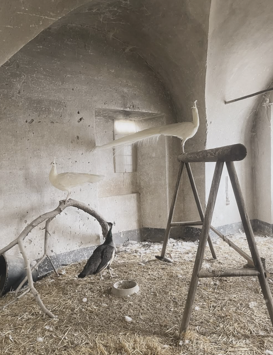 Make Room for Growth