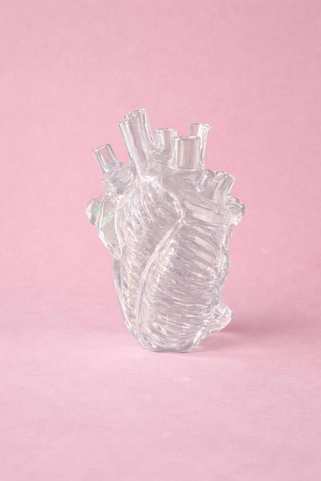 Wild Heart Trasparente Grande