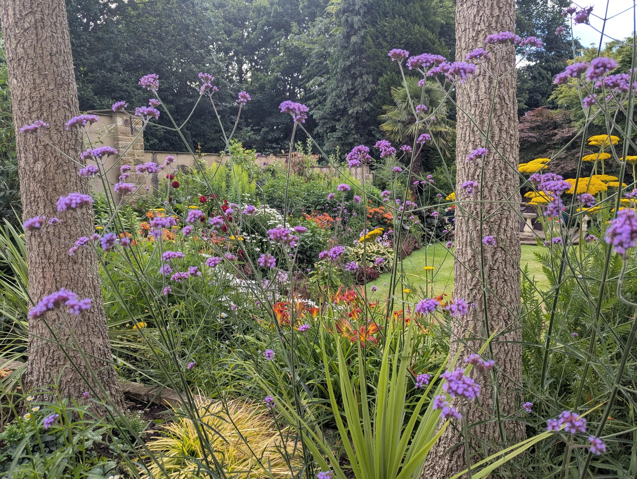 Garden landscaping and maintenance in Harrogate