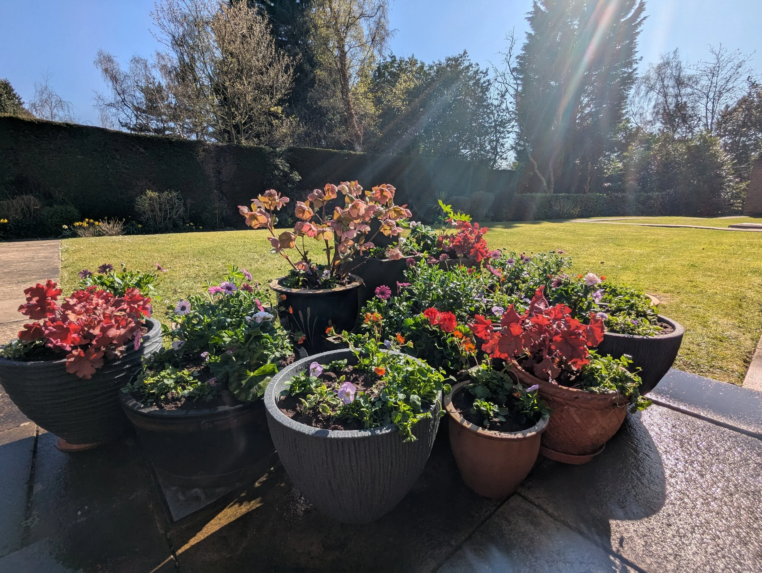 Professional gardening services in Harrogate