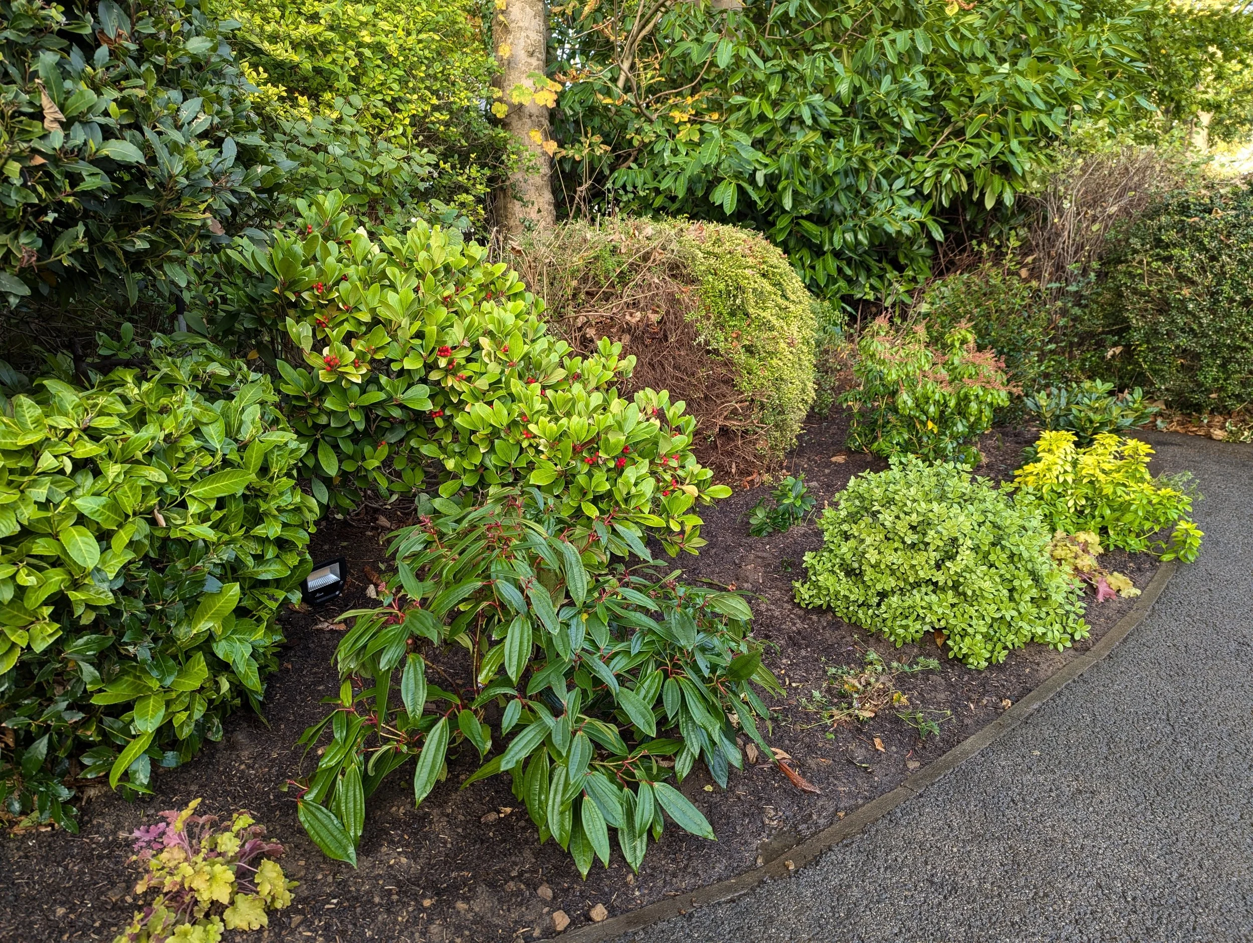 Garden Maintenance in North Leeds by Toby's Gardens