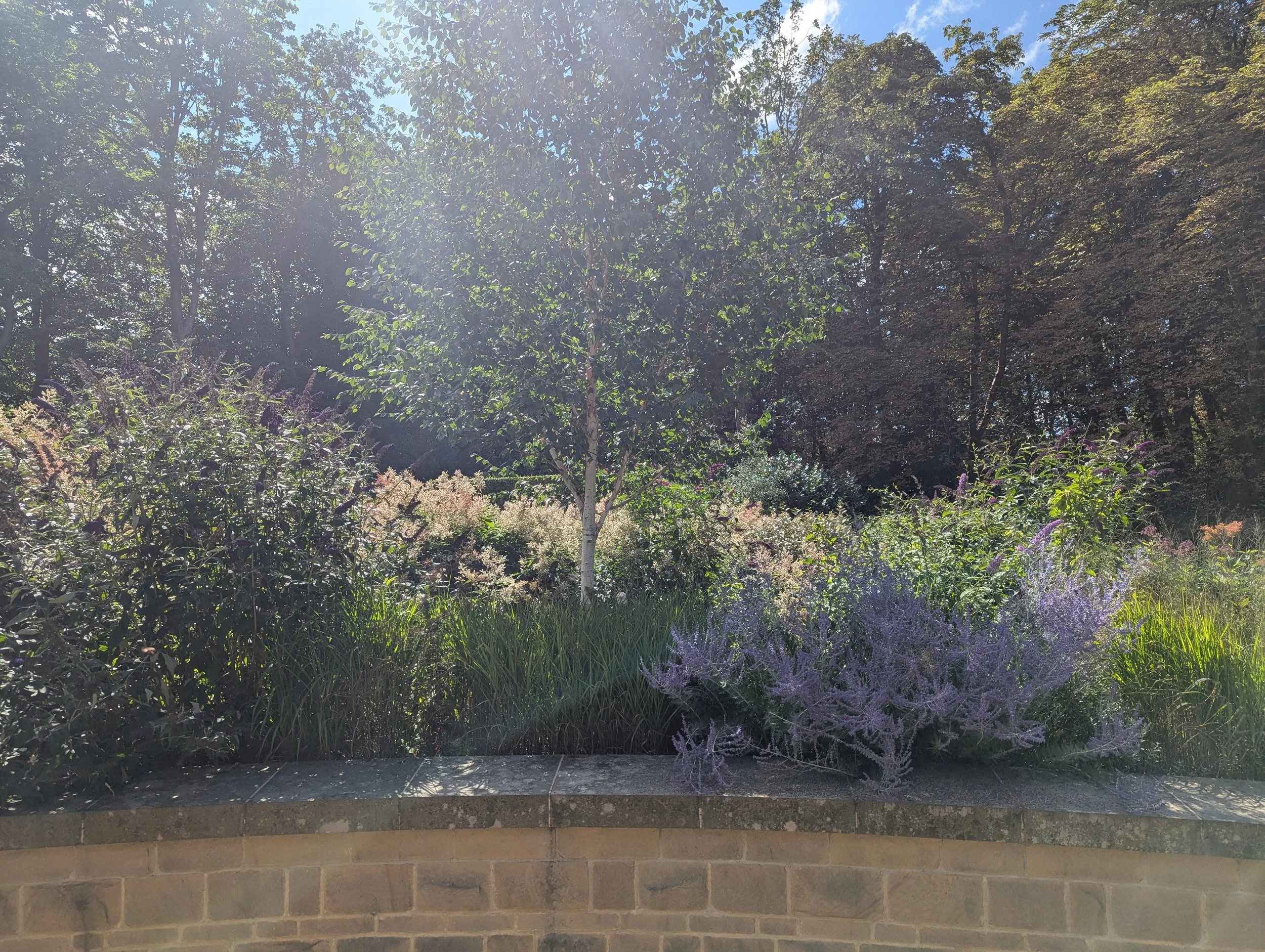 Hedge trimming and tree pruning in Harrogate 