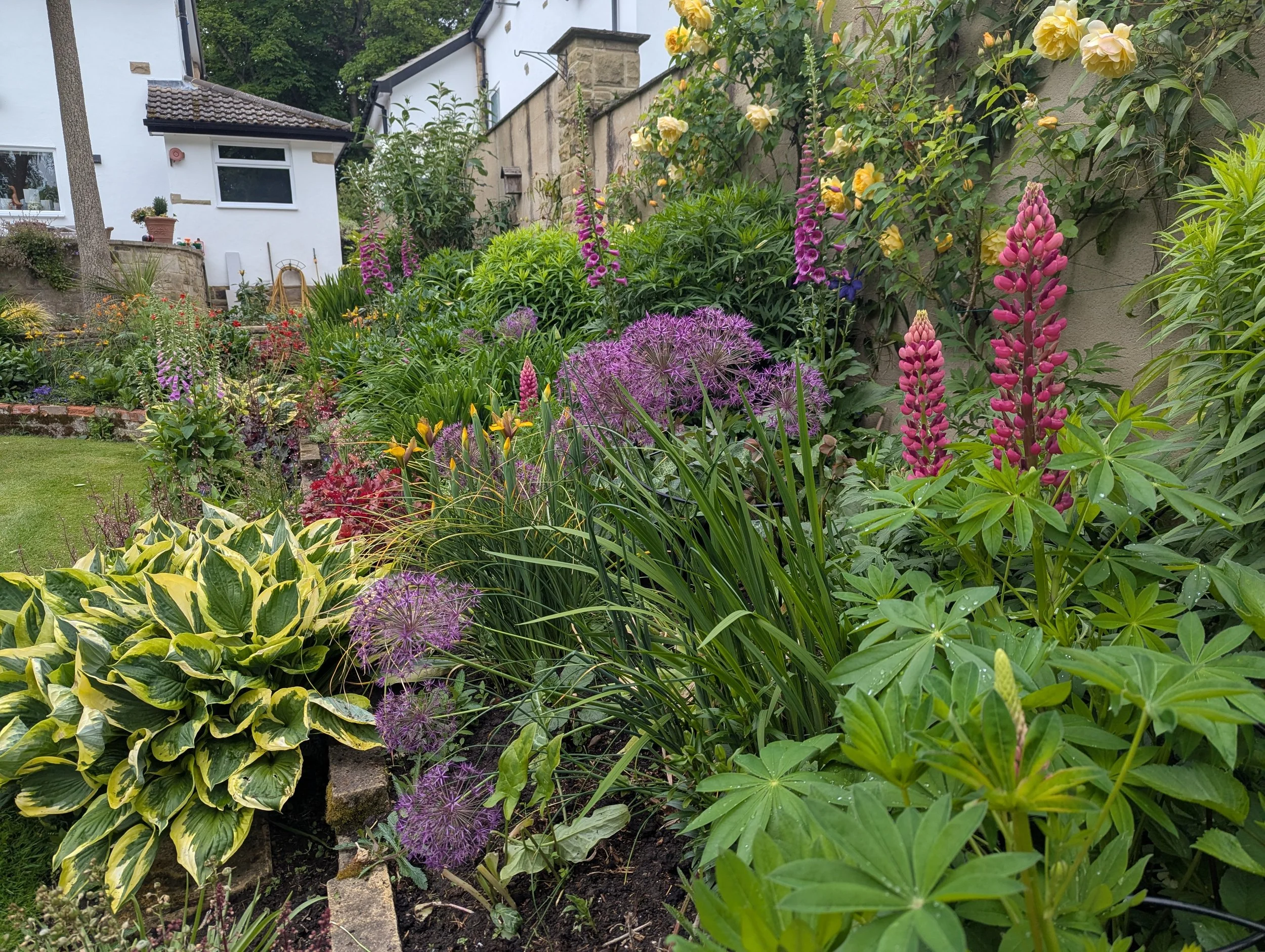 Flower bed planting and Garden Design in Leeds