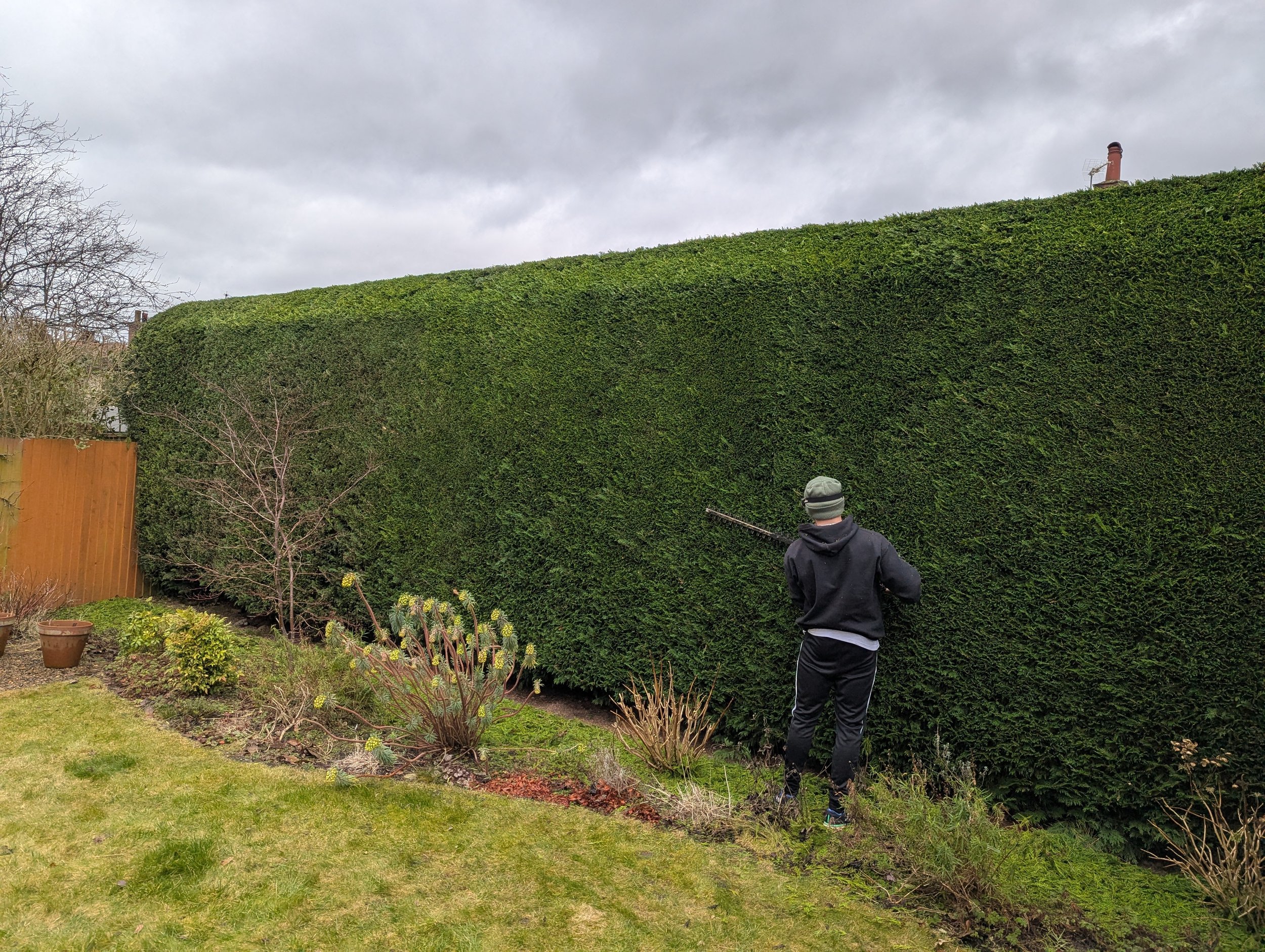 Hedge cutting  by Toby's Gardens in Harrogate
