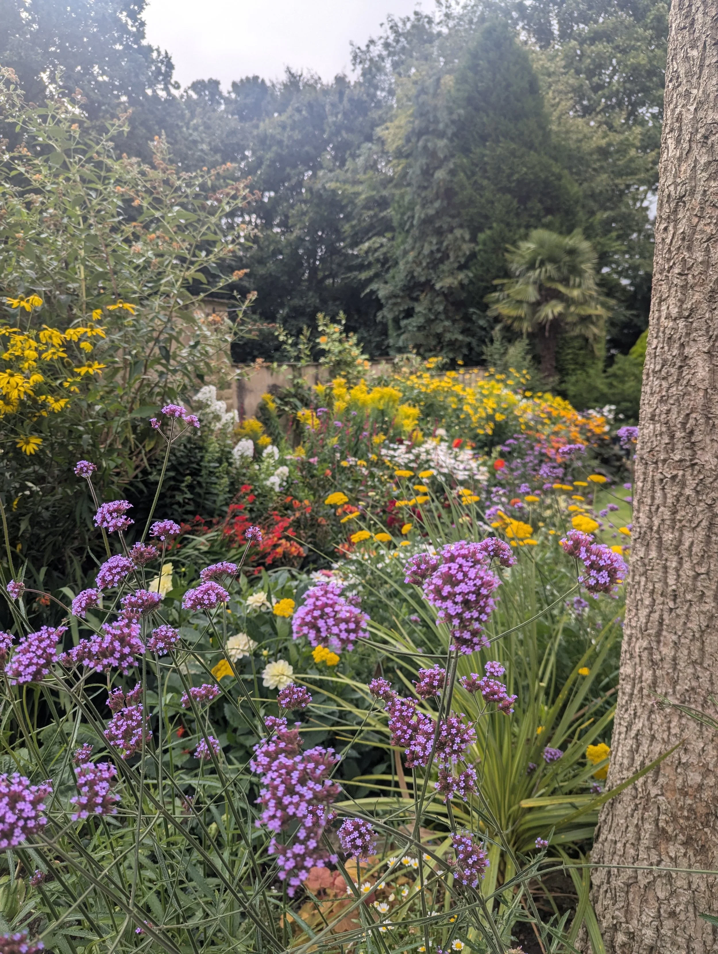 Garden maintenance in Leeds